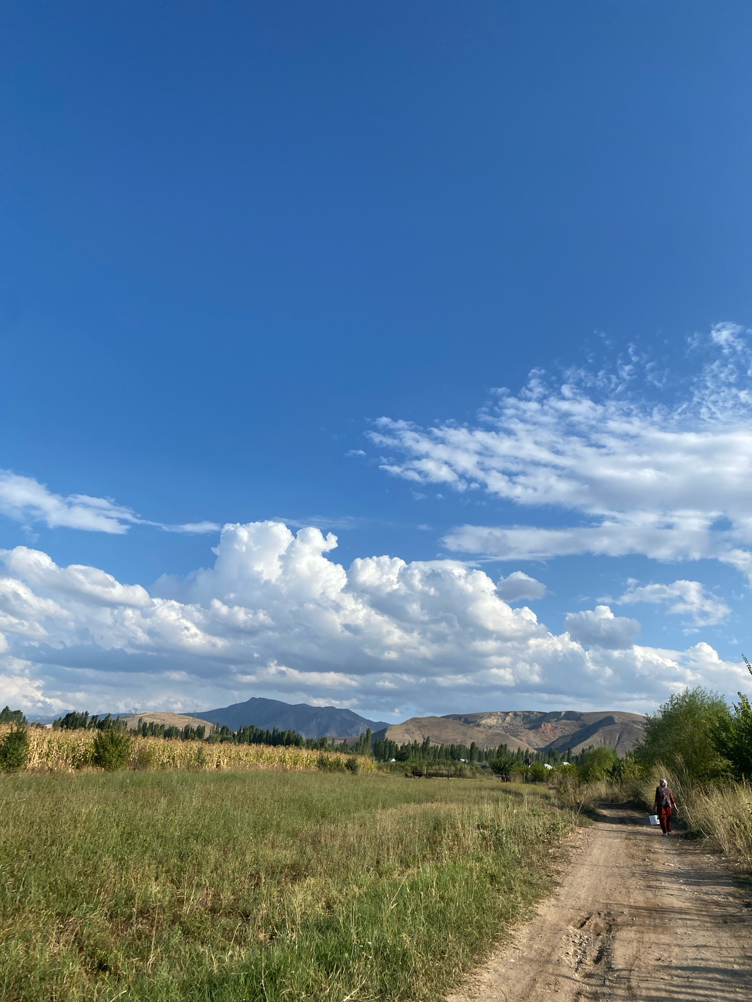 A dirt road winds through a rural landscape in the village of Djiyde, Kyrgyzstan, under a vast, bright blue sky dotted with fluffy white clouds. On the right side of the road, a woman wearing a red and patterned outfit and a headscarf walks away from the viewer, carrying a white bucket. The road is flanked by dry grass and tall weeds. To the left of the road, a field of tall, golden corn stalks stretches towards a line of trees, with more green grass in the foreground. In the distance, rolling hills and mountains rise under the dramatic sky, with a few structures and trees scattered across the terrain. The overall scene depicts a peaceful, pastoral setting.
