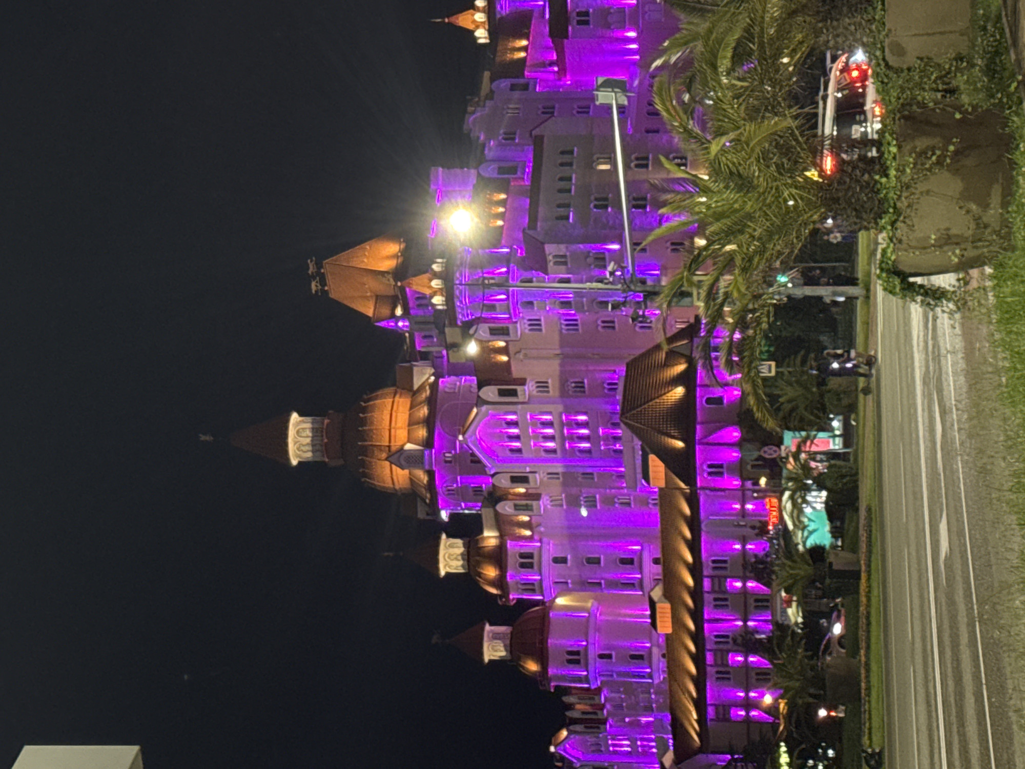 Captured at night in the city of Sirius, Russia, the image presents a large, illuminated building resembling a castle or ornate hotel. The building, predominantly lit with purple and orange lights, stands adjacent to a street.
A road runs alongside the building; some cars can be seen in the distance with their lights on.
The sky is dark, contrasting with the bright building. Palm trees are present between the road and the building.
