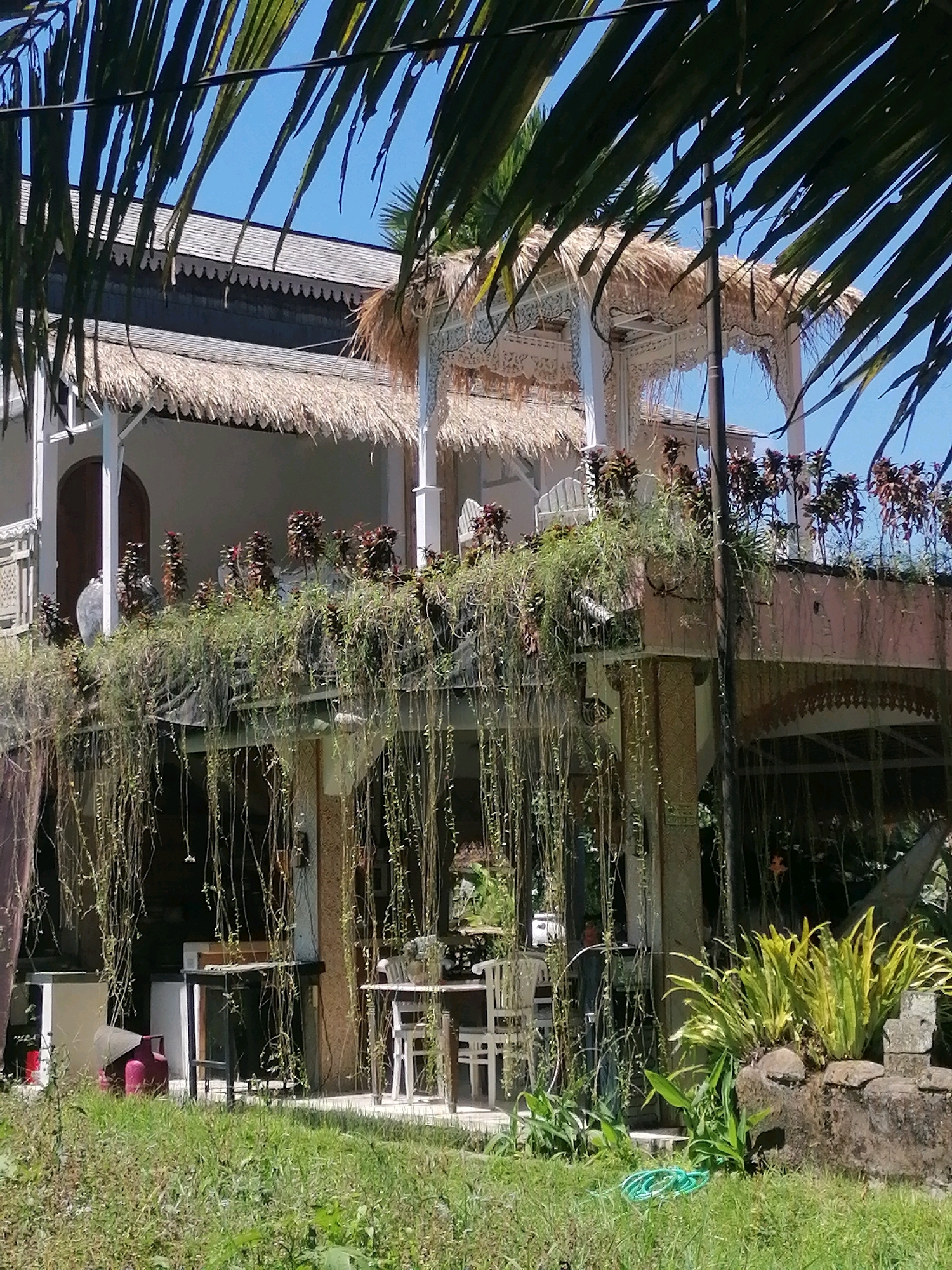 The image captures a building with a thatched roof and intricate white wooden detailing, characteristic of traditional Balinese architecture. The structure features multiple levels, including balconies adorned with lush hanging plants and potted flora. On one of the balconies, there are several potted plants, including some with dark red foliage, and an assortment of hanging vines that cascade down the sides of the building. Below, a covered patio area is visible with tables and chairs, suggesting an outdoor dining or seating space. To the left, on the ground level, there is a white appliance, a pink gas cylinder, and a black table. Further to the right, a stone planter box with vibrant green plants is situated in the foreground. The scene appears to be set in a tropical environment, with palm fronds partially obscuring the view from the top. The building's design and vegetation suggest a location in Ubud District, Indonesia, known for its cultural heritage and natural beauty.
