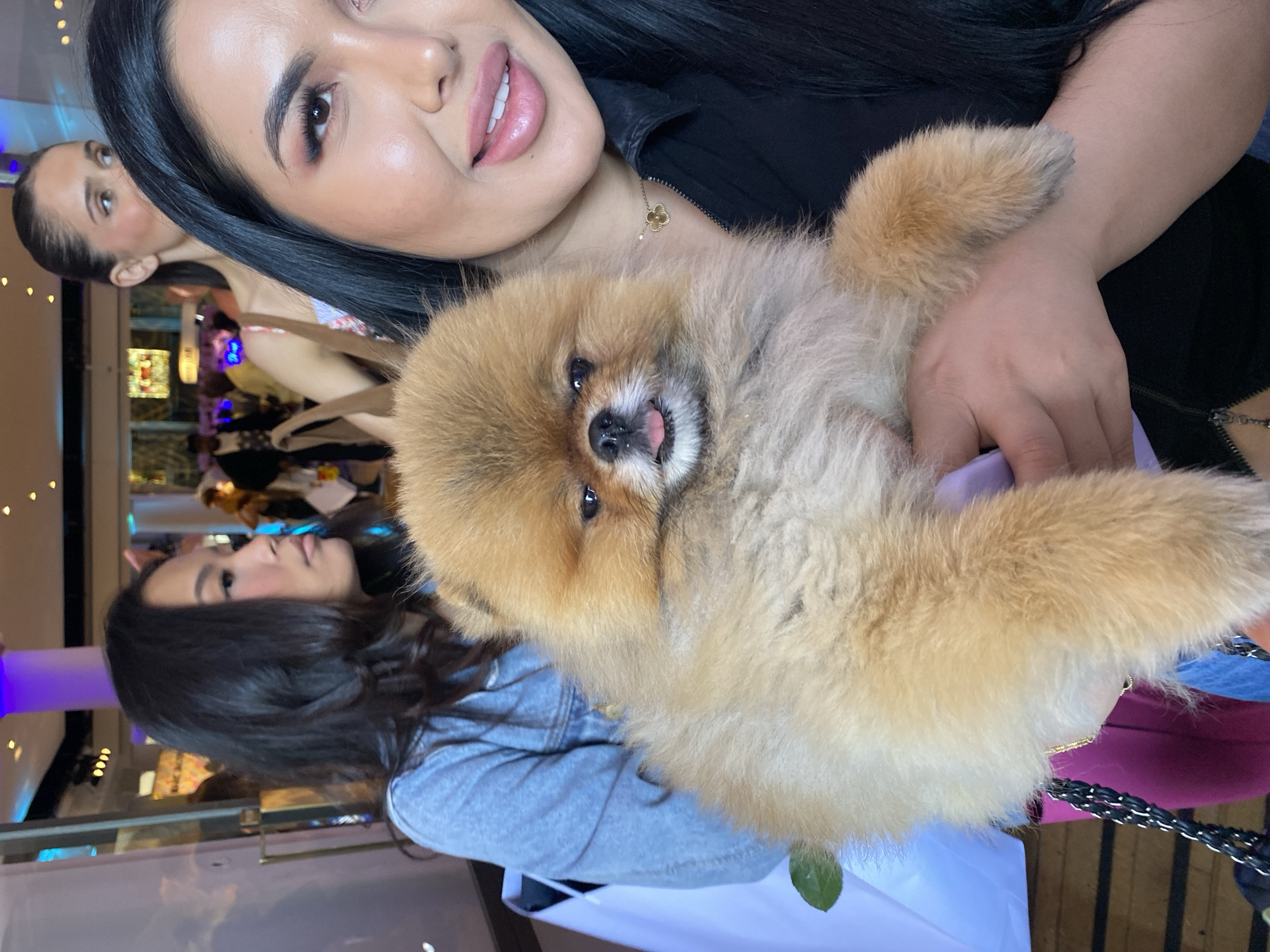 A close-up portrait captures a woman affectionately holding a fluffy Pomeranian dog indoors at what appears to be a social event or gathering in London, United Kingdom. The main subject, a woman with long dark hair, wears a black top and a delicate gold necklace with a clover charm. She has noticeable makeup, including pink eyeshadow, eyeliner, and light pink lipstick, and displays a subtle, gentle smile while looking towards the viewer.
Cradled in her arms is a small, light brown and tan Pomeranian with very thick, fluffy fur. The dog looks directly at the camera with its tongue slightly out, conveying a happy and content expression. Its dark nose and eyes are prominent.
In the blurred background, several other people are visible, indicating a lively atmosphere. One woman with dark hair pulled back is partially seen behind the main subject, looking away. Further back, another woman with dark hair and a grey long-sleeved top is visible. The setting is dimly lit with various ambient lights, including warm yellow fairy lights and some purple/blue illumination, suggesting an evening or nighttime event. Parts of a white table or surface and a black chain strap are visible in the foreground. A small green leaf is caught in the dog's fur. The image conveys a warm and joyful mood, focusing on the bond between the woman and her pet. No visible text is present.