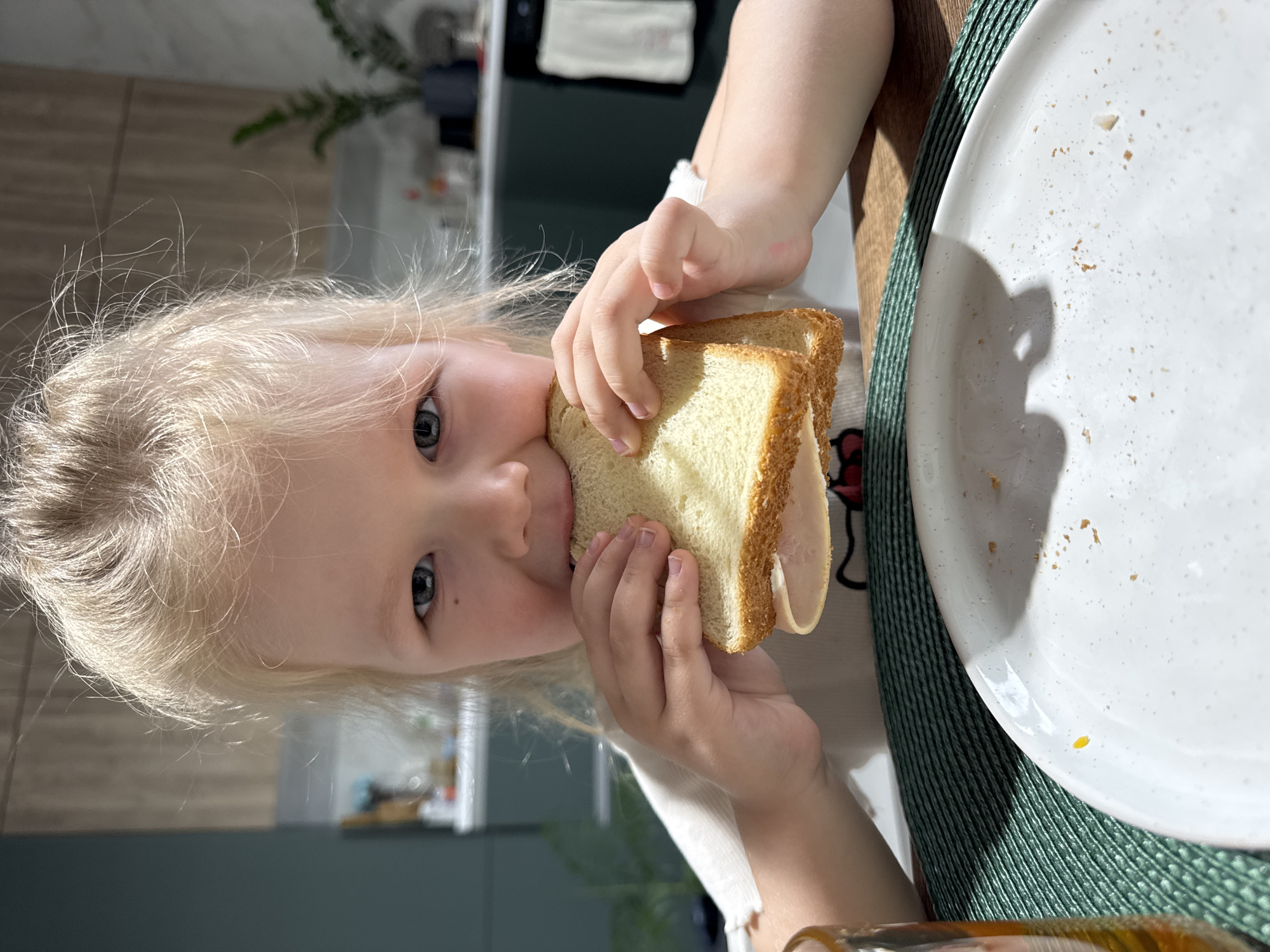 A young, fair-haired child is shown eating a sandwich. The child is holding the sandwich with both hands and taking a bite. The sandwich appears to be made with white bread and some sort of deli meat. Next to the child is a white plate with crumbs on it, resting on a green placemat. The background appears to be a modern kitchen with light-colored cabinets and countertops. There is no indication of Gornyi or Dvurechenskoe S/P.