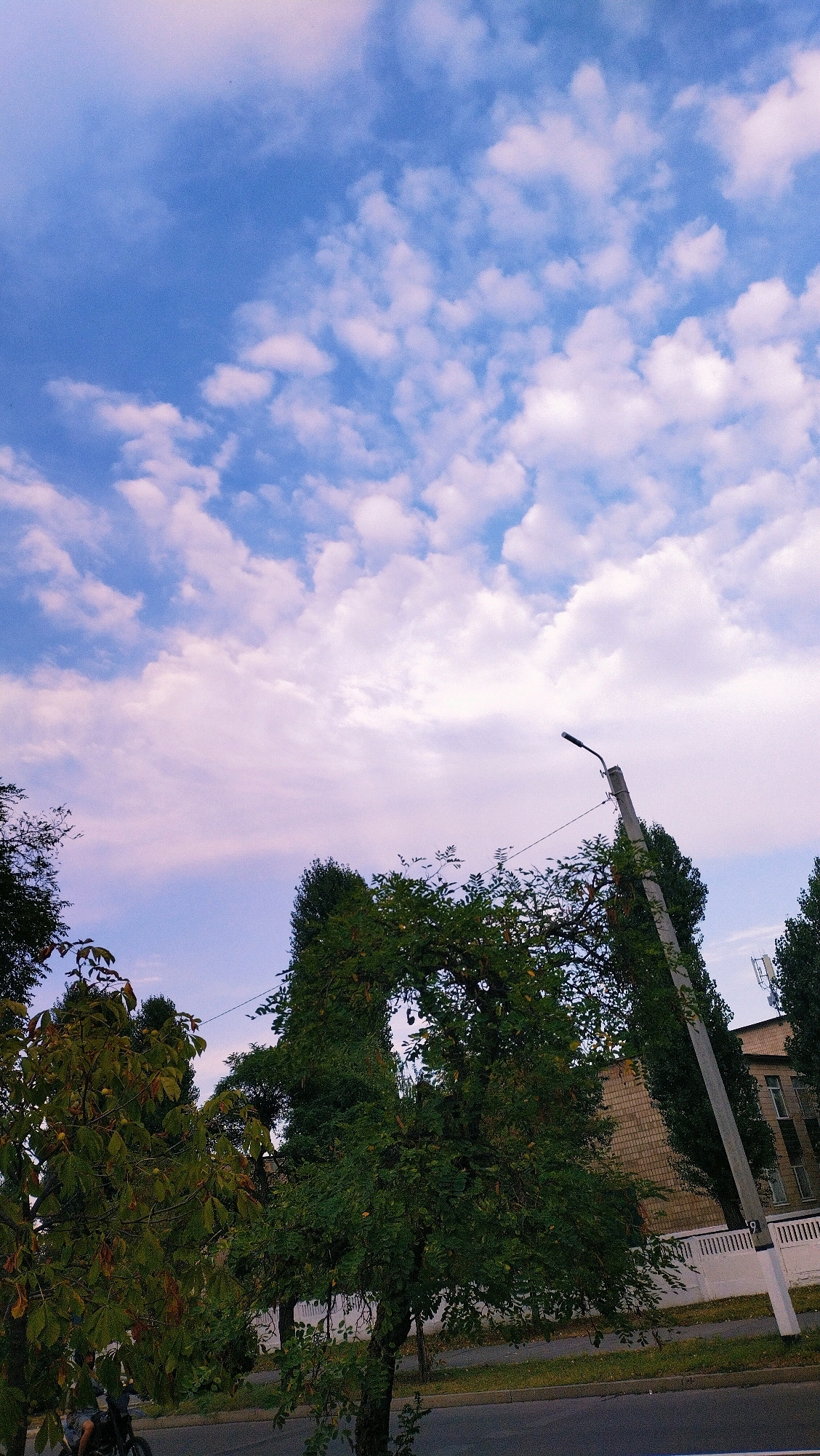 This image captures a view of the sky, trees, and a street in Horishni Plavni, Ukraine. The sky is filled with a mix of blue and scattered white clouds, tinged with pink and purple hues suggesting either dawn or dusk. In the foreground, lush green trees dominate the scene, with one tree in the center having a distinctive, almost arch-like opening formed by its branches. To the right, a concrete lamppost stands tall, with wires extending from it. Beyond the trees, a brick building with windows is visible, alongside a white fence. A road runs along the bottom of the frame, with a section of pavement and grass beside it. A person on a bicycle is partially visible on the far left of the image, on the road. The overall impression is a serene, natural landscape juxtaposed with urban elements.