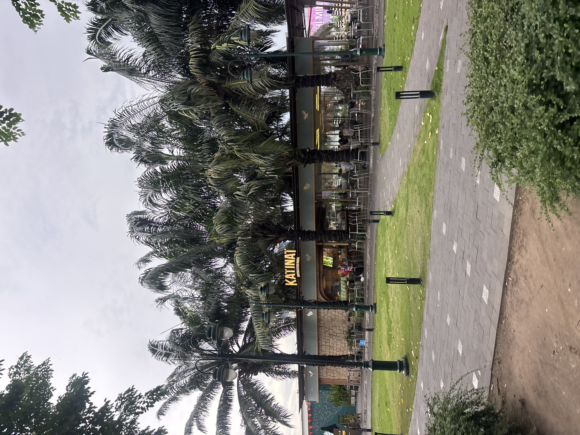 The image shows a Katinat Coffee & Tea House in an outdoor setting, likely a plaza or park area. Several tall palm trees are prominent in the foreground, with their fronds extending into the frame. The coffee shop features a modern design with large glass windows, allowing a view of the interior where patrons are seated at tables. The facade of the building is adorned with stone accents and a prominent neon sign displaying the establishment's name. In front of the coffee shop, there are numerous outdoor tables and chairs set up on a paved area, with a grassy lawn beyond. Several lampposts are strategically placed throughout the scene. The sky is overcast, suggesting a cloudy day. The overall ambiance appears to be relaxed and inviting, typical of a cafe or gathering spot.
