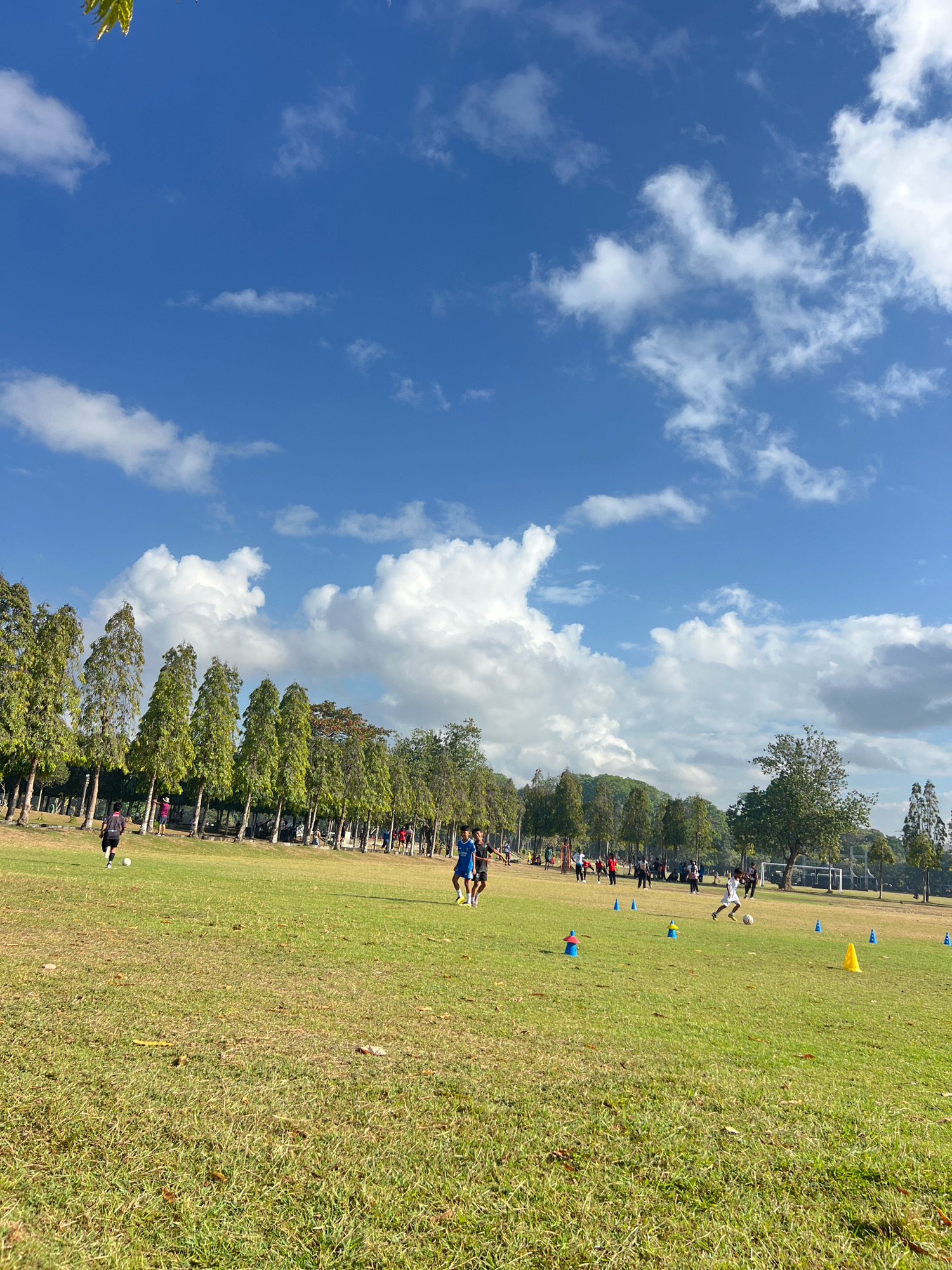 The image depicts an outdoor soccer practice on a grassy field, likely in Denpasar, Indonesia, given the presence of tropical trees lining the perimeter and a generally sunny, warm atmosphere. The field is well-maintained, with a mix of short and longer grass, and several blue and yellow cones are scattered across it, presumably for drills.
In the foreground, the perspective is low, showcasing the texture of the grass. Further back, several individuals are engaged in soccer-related activities. On the left side, a person in a black and red jersey is kicking a soccer ball. In the middle ground, a group of individuals in athletic wear are spread out across the field, some appearing to be training or playing. There are also trees and a line of more mature, tall trees forming a backdrop on the left side of the image. The sky above is a vibrant blue, dotted with fluffy white clouds, suggesting clear weather. The overall impression is one of an active afternoon sports session under a bright sky.
