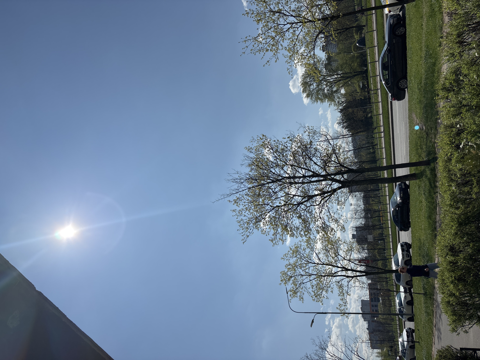 The image shows an urban street scene under a clear, blue sky with the sun visible in the upper left. Along the right side of the frame are parked cars and a grassy area. A person is standing near the parked cars, facing away from the camera. Trees line the street, some with visible leaves. Buildings are seen in the background, partially obscured by the trees and sky. The location is Unknown, Unknown.