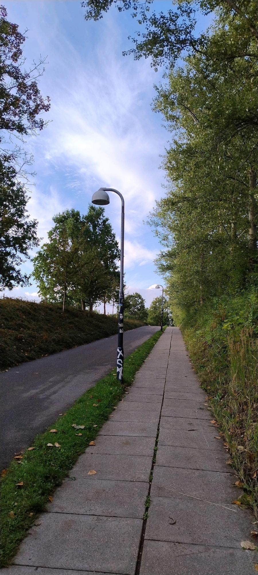 The image depicts a concrete sidewalk on the right and a paved path on the left, both leading into the distance. The sidewalk is bordered by tall grass and vegetation on the right, while the paved path is adjacent to a grassy slope on the left. A lamppost with a curved arm and a domed light fixture stands on the left side of the sidewalk, near the beginning of the path. The lamppost is dark with white graffiti. Another lamppost is visible further down the path. Trees with green foliage line the right side of the path, and more trees are scattered on the grassy slope on the left. The sky above is blue with wispy white clouds. The scene appears to be an outdoor public space, possibly a park or recreational area, in Ishøj, Denmark. There are no people or animals visible in the image. The overall impression is one of a tranquil, natural setting within an urban environment.