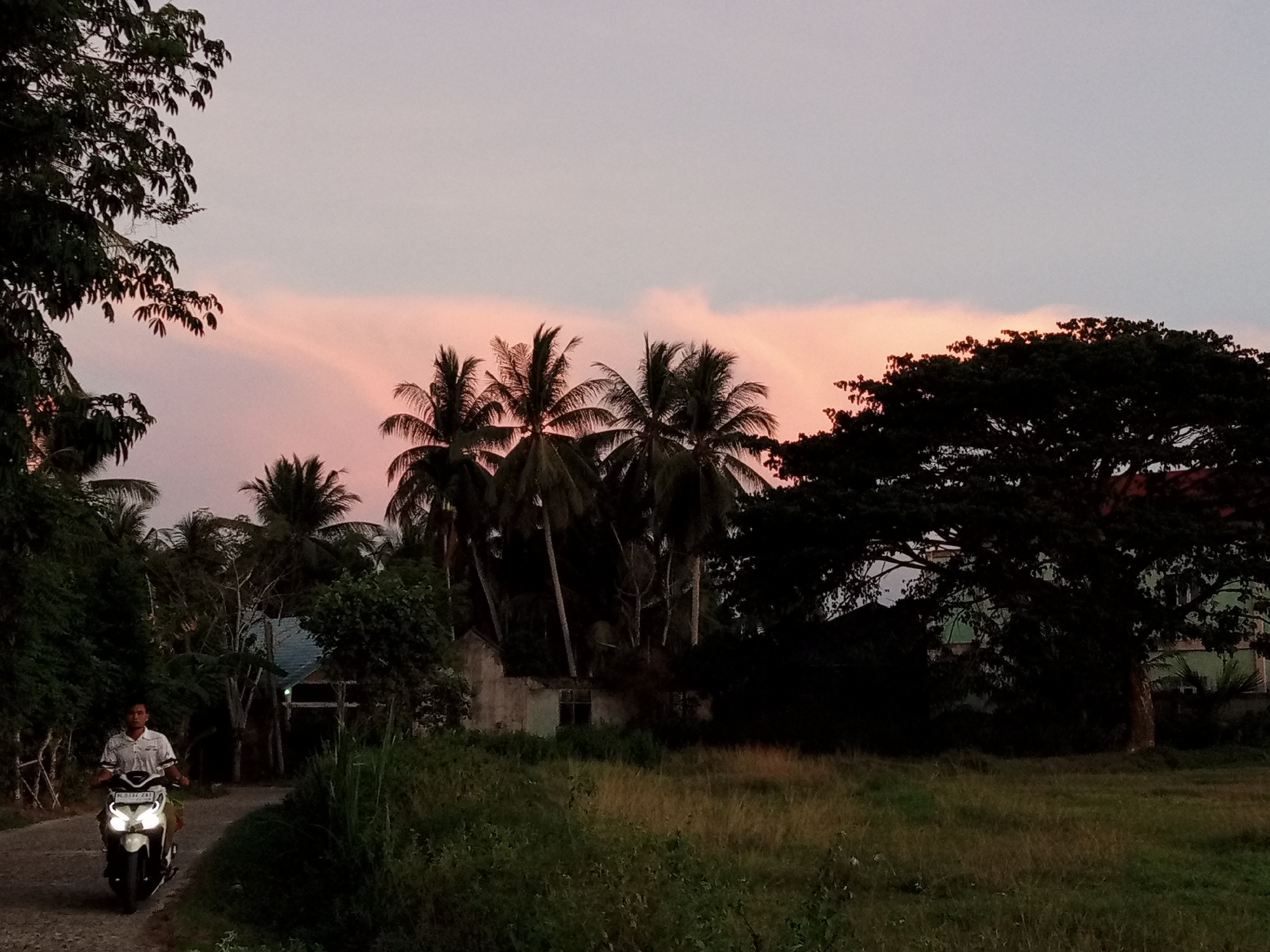 This image depicts a rural road in Payadua, Indonesia, at dusk. A man is riding a white scooter along the unpaved road. The scooter has its headlights on. The man is wearing a light-colored collared shirt. On the left side of the road, there is dense vegetation and trees. Further down the road, to the right of the scooter, there is a small, dilapidated building with a window. Behind the building and extending to the right of the image is a large, dark-leaved tree. The background features a line of palm trees silhouetted against a pale pink and grey sky, indicative of sunset or twilight. The ground in the foreground and middle ground is covered in grass and vegetation.