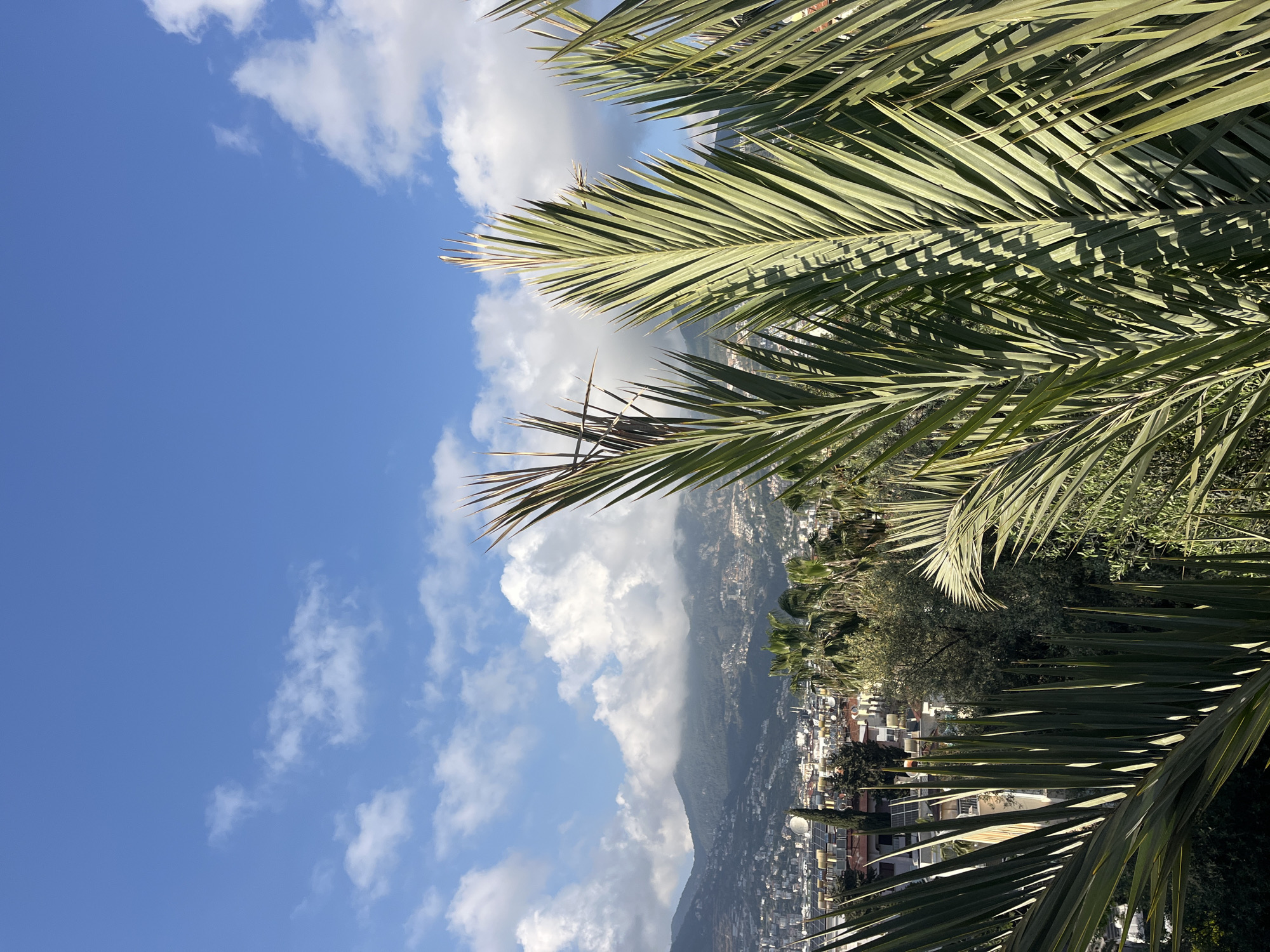 The image presents a scenic panoramic view of Alanya, Turkey, dominated by natural elements and a sprawling cityscape. In the immediate foreground, vibrant green palm fronds, characterized by their detailed texture and varied shading from sunlight, frame the upper and lower portions of the scene.
Beyond the foliage, a dense urban settlement unfolds across sloping hills, extending towards the base of a mountain range. The city is comprised of numerous buildings, many featuring light-colored facades and distinctive red or orange tiled roofs, characteristic of Mediterranean architecture. Patches of green trees and vegetation are visible throughout the urban fabric, integrating nature within the built environment.
In the mid-ground and background, large, verdant mountains rise majestically, their peaks partially enveloped by soft, white, cumulus clouds. These clouds also dot the expansive, clear blue sky overhead, suggesting bright and pleasant weather conditions, likely during the daytime. The strong sunlight illuminates the scene, creating sharp contrasts and highlights on the palm leaves and buildings. No visible text is present in the image.
