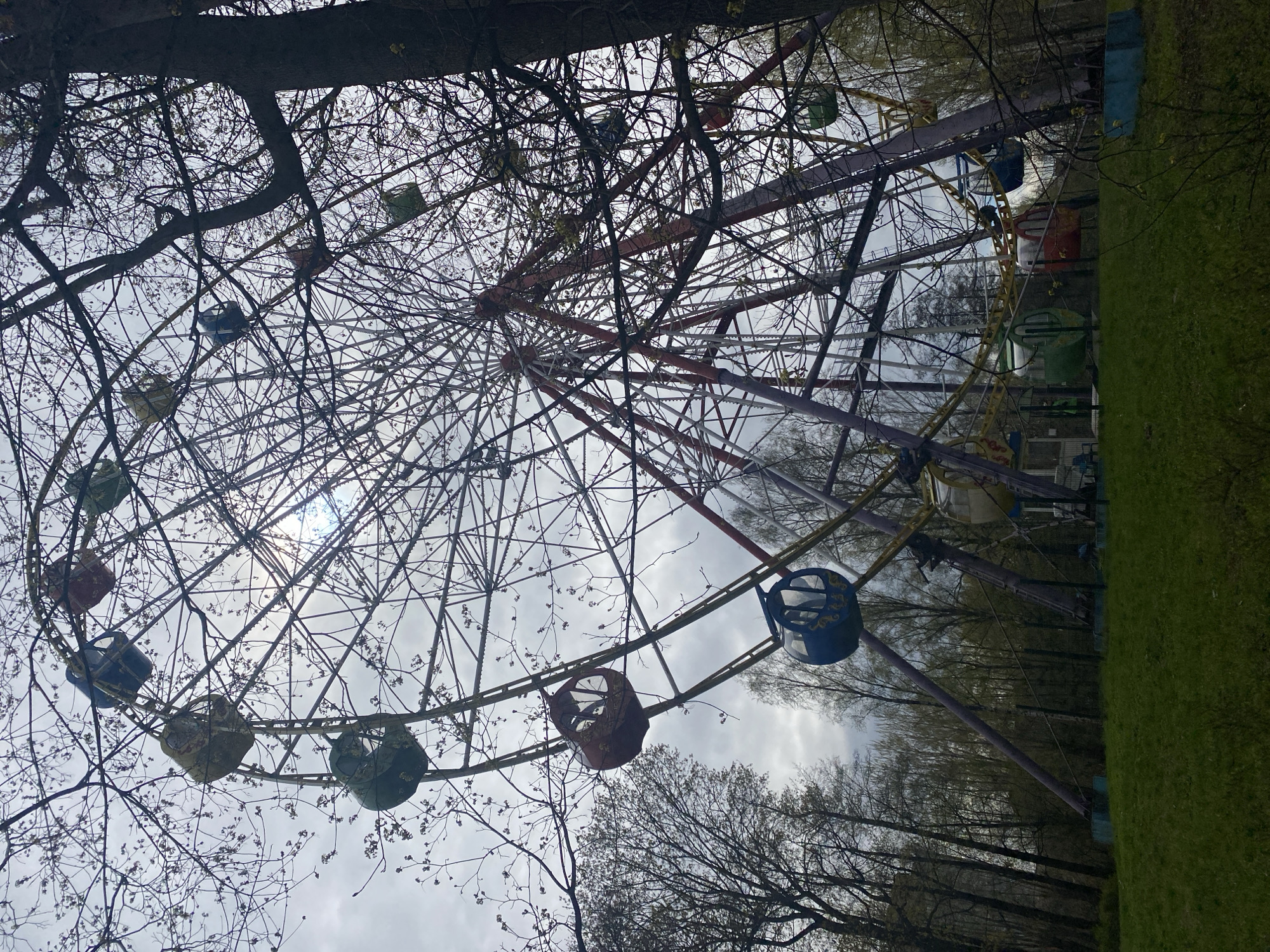 The image depicts a Ferris wheel in Saint Petersburg, Russia. The Ferris wheel is constructed of metal framework with multi-colored gondolas suspended from it. The sky is overcast and visible through the wheel's structure and bare tree branches. Trees surround the wheel, and grass is visible on the right side of the frame. There are no people visible in the immediate foreground or on the wheel. The photograph is taken from a low angle, looking upward at the Ferris wheel, partially obscured by tree branches.