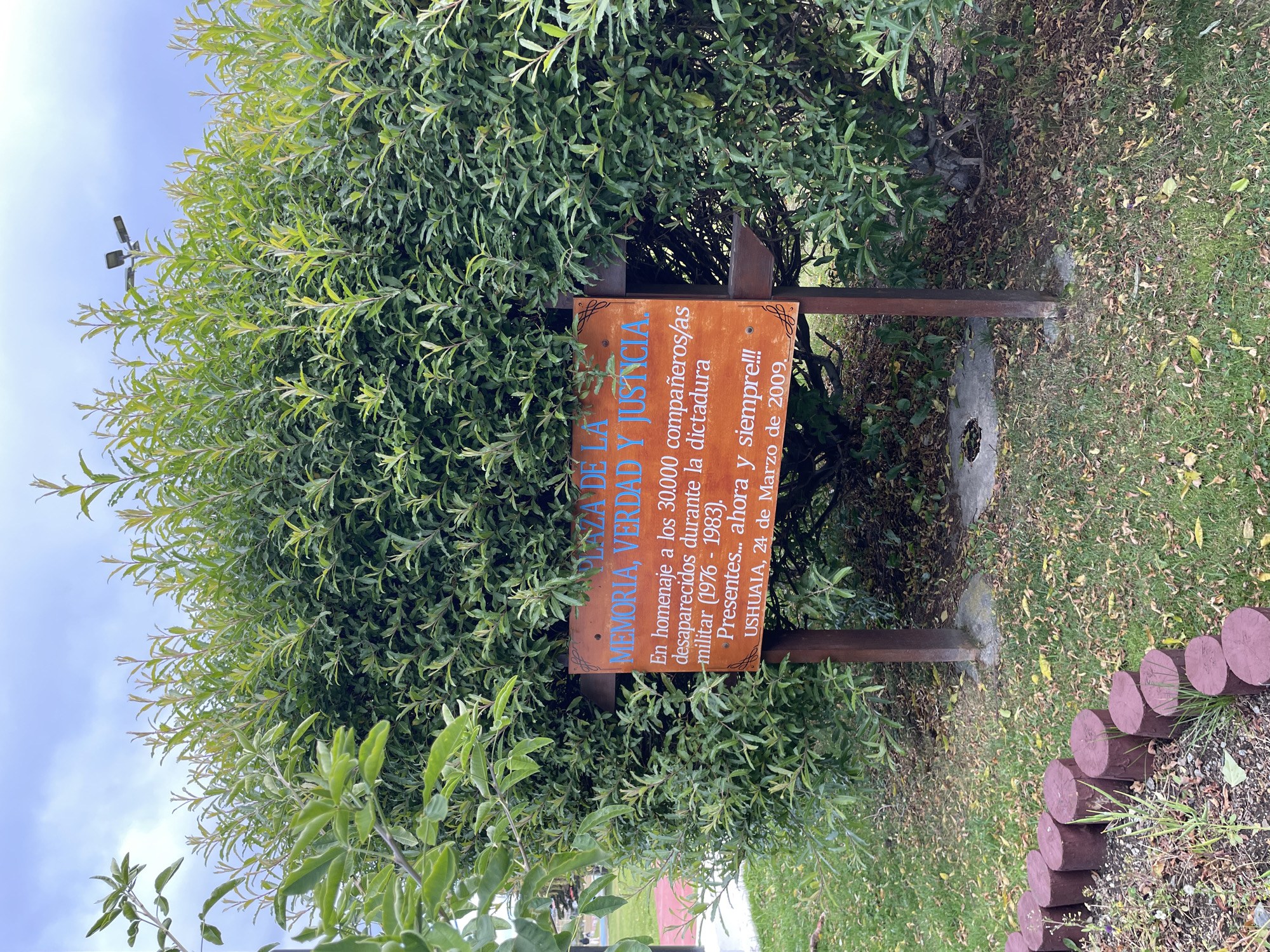 A wooden memorial sign stands prominently in the foreground, installed on two dark brown posts. The sign's face is light brown with carved or painted text in blue and black. The visible blue text at the top reads "PLAZA DE LA MEMORIA, VERDAD Y JUSTICIA." Below this, black text states, "En homenaje a los 30.000 compañeros/as desaparecidos durante la dictadura militar (1976 - 1983). Presentes... ahora y siempre!!! USHUAIA, 24 de Marzo de 2009." This indicates the location as Ushuaia, Argentina.
The sign is positioned in front of a dense, vibrant green bush with numerous small leaves and lighter green new growth at the top. The bush occupies the majority of the background. Above the bush, an overcast sky is visible. A dark-colored street light fixture with two lamp heads is partially obscured by the top foliage of the bush, silhouetted against the sky.
The ground around the base of the sign and bush is covered in green grass with scattered brown and yellow fallen leaves. A row of dark reddish-brown, cylindrical wooden log sections forms a low border along the left side of the foreground, separating a patch of sparse weeds and gravel from the grass. Concrete bases support the sign's posts, and small patches of concrete are visible on the ground beneath the bush. No individuals are present in the frame.