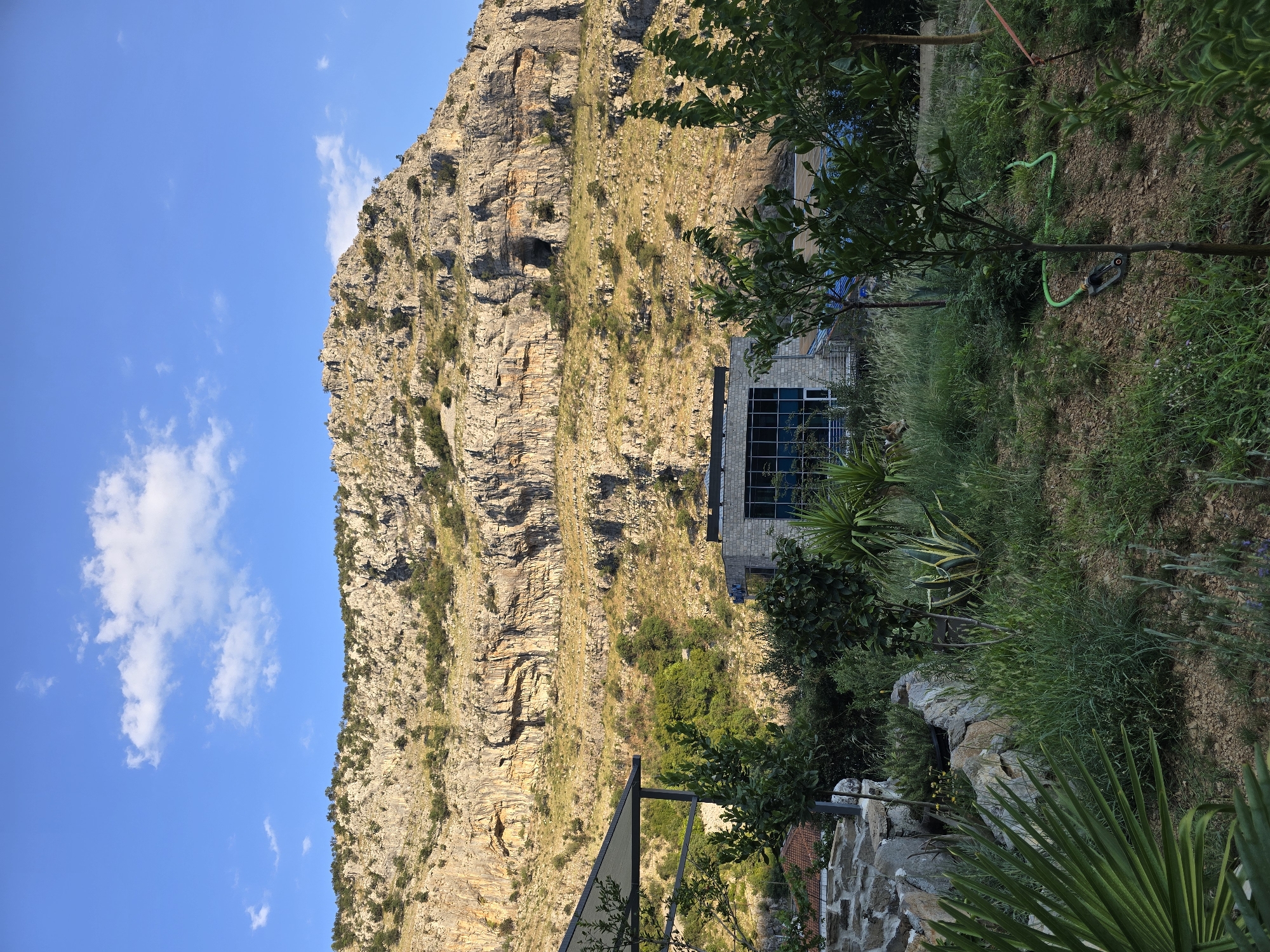 A mountainous landscape with a modern building and vegetation in the foreground is depicted under a partly cloudy blue sky. The mountain is rugged and appears to be made of rock, with sparse vegetation clinging to its slopes. A large cave-like opening is visible in the cliff face. In the middle ground, a contemporary building with large glass windows is situated amidst lush greenery. The foreground features a garden with various plants, including palm leaves, agave, and young trees, along with some stone landscaping and a green hose. The scene suggests a rural or semi-rural setting, possibly a resort or a private residence located near a natural landmark, possibly in the vicinity of Podgorica, Montenegro, given the distinctive karst topography.