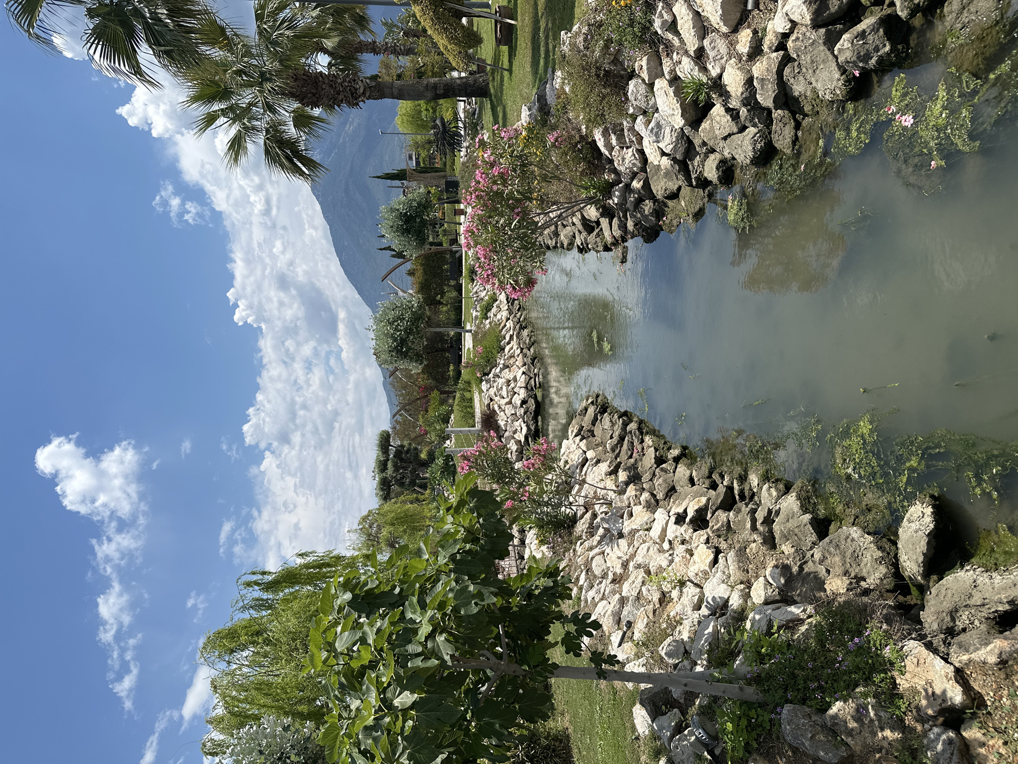 The image depicts a narrow canal in a park in Fethiye, Turkey, with rocky edges and vegetation. The canal's water is murky, with some aquatic plants. The banks of the canal are lined with large, light-colored rocks. Various trees and shrubs are visible, including a palm tree and flowering plants with pink blossoms. A mountain rises in the background under a blue sky with scattered clouds. The setting appears to be a well-maintained public garden.