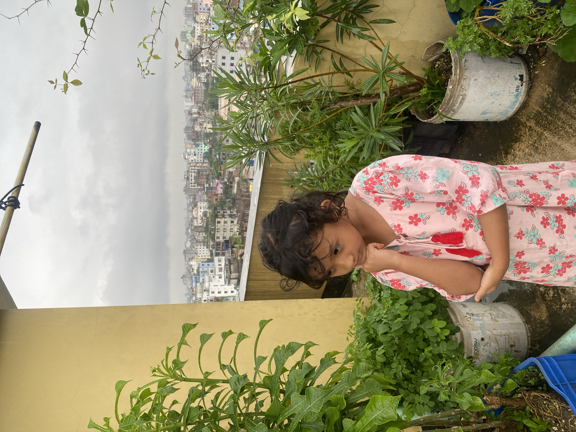 A young girl with curly dark hair, wearing a light pink dress with a floral pattern, stands on a rooftop overlooking a dense cityscape. She is positioned in the right half of the frame, with her head tilted down and her chin resting on her hand, suggesting contemplation. Her dress has short sleeves and a neckline adorned with two red tassels.
The rooftop, where she stands, is paved with concrete that appears wet, indicating recent rain or watering of the plants. Several potted plants are scattered around the rooftop. To the girl's left, a large plant with broad green leaves is in the foreground, in a blue plastic crate. Behind her and to her right, other plants in various containers, including a white cylindrical pot, are visible.
The background reveals the sprawling urban landscape of Dhaka, Bangladesh, under an overcast sky. Numerous buildings, of varying heights and colors, fill the horizon. The architecture suggests a dense, residential and commercial area. A bamboo pole is mounted horizontally at the top of the frame, and thin branches with thorns are seen in the upper right corner, adding to the rooftop's semi-wild, natural elements. The overall atmosphere is one of quiet observation amidst the vibrant, yet somewhat muted, urban environment.