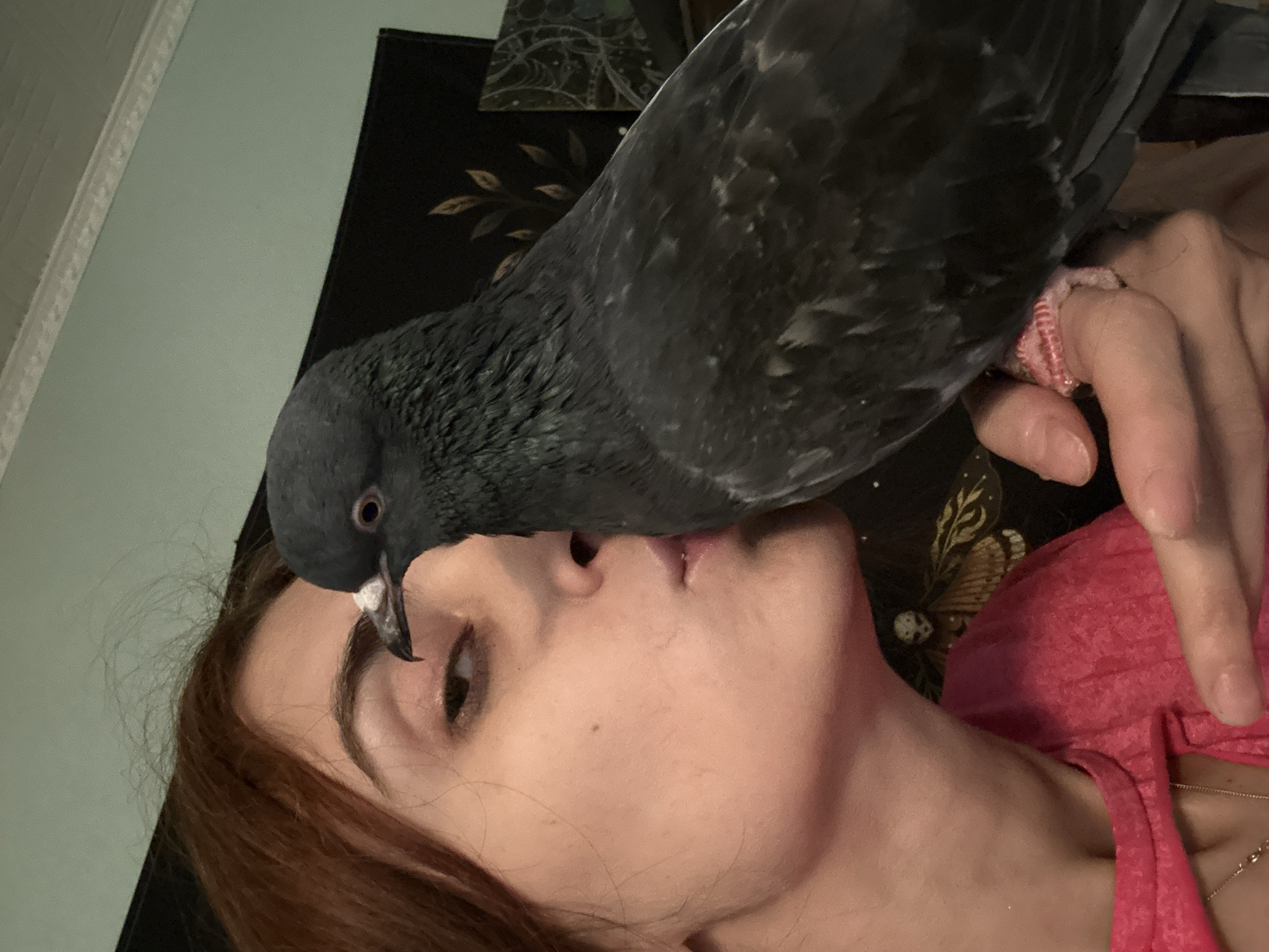 A close-up, indoor, eye-level medium shot captures a woman with auburn hair leaning in to kiss a dark gray pigeon. The woman is on the left side of the frame, her face angled towards the pigeon. She is wearing a bright pink t-shirt. Her lips are pursed, and her eyes are partially closed. The pigeon is positioned on the right side of the frame, its head turned towards the woman's face, appearing to meet her kiss. Its feathers are dark gray with some lighter iridescent patches. The pigeon is held by a hand which is wrapped with a pink bandage. In the background, a dark tapestry with a subtle leaf pattern is visible. The lighting is dim, suggesting an indoor setting. The scene appears to be in Togliatti, Russia.