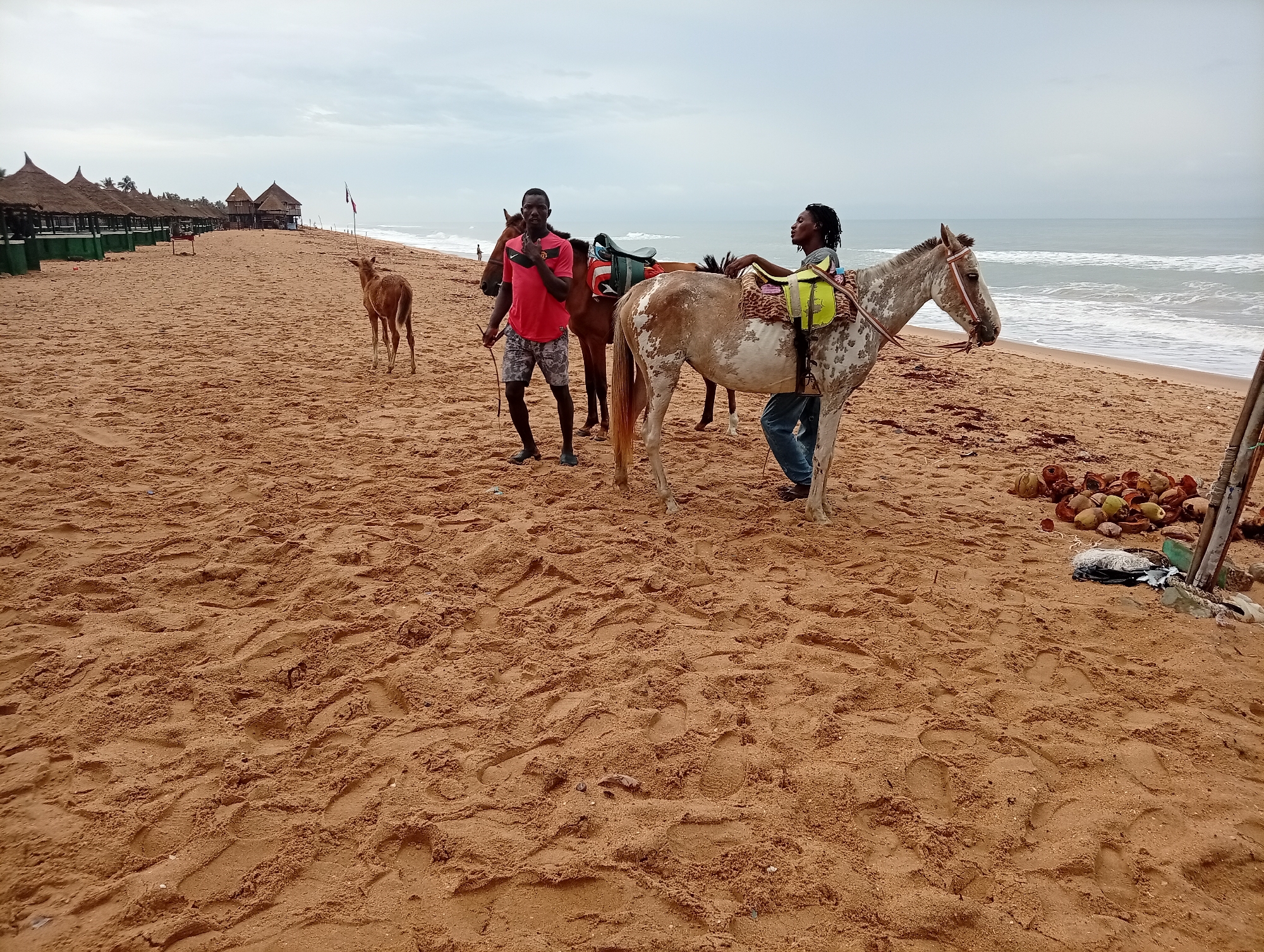 The image depicts a sandy beach at Gbaj, Nigeria, under an overcast sky. In the foreground, a man in a red shirt and patterned shorts stands beside a brown horse with a red saddle. Another person, possibly female, is seated on a light-colored horse with a yellow and black saddle. A small brown animal, potentially a goat, stands further down the beach to the left, near huts with thatched roofs. To the right, near the edge of the image, are several coconuts and assorted debris. The ocean is visible in the background with white waves crashing on the shore.