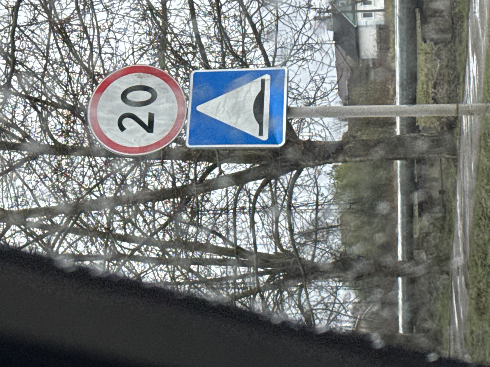 A street scene with a speed limit sign (20) and a sound signal sign. The location is likely in Novo-Nikol'skoe, Russia. A road and vegetation are visible in the background. The image is taken from inside a vehicle, as indicated by the dashboard visible at the bottom. Bare trees are behind the signs and blur the image in the background.