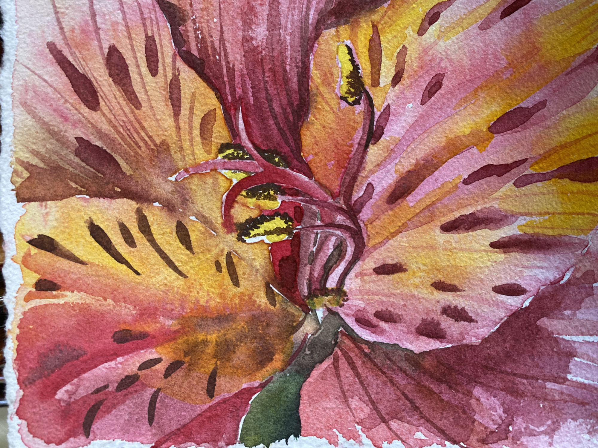 A close-up watercolor painting of an alstroemeria flower. The petals are predominantly shades of pink, red, and yellow, with brown spots scattered across them. The center of the flower features deep red and yellow stamens. A small area of green is visible at the base of the flower. The background is a mix of the same colors, creating a blended, impressionistic effect. The painting is on white paper. There is no indication of the location being in Izhevsk, Russia.