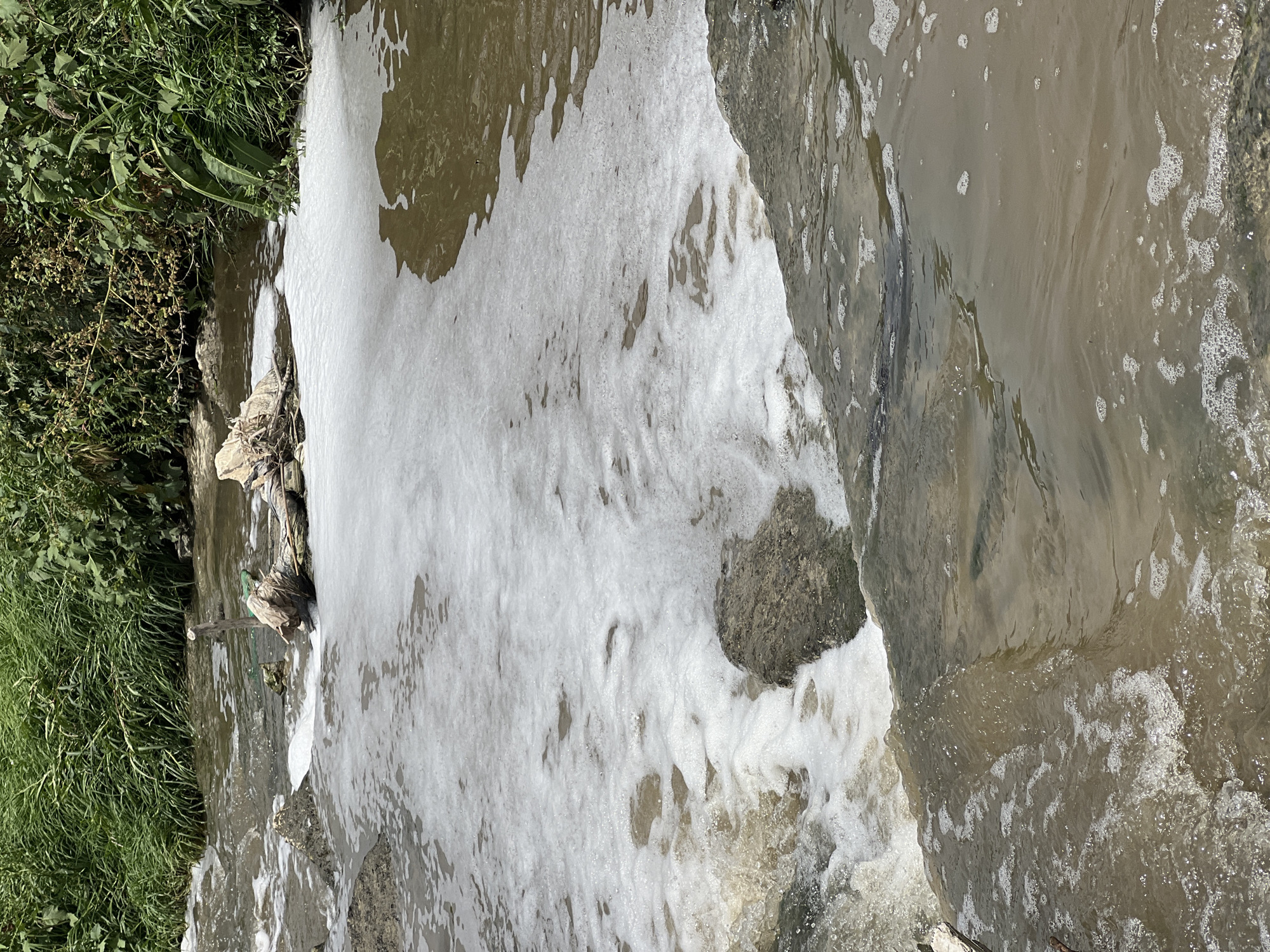 The image shows a body of water, possibly a river or stream, with frothy white foam covering a significant portion of the surface. The water appears murky and brown. On the left side, there's green vegetation and some debris like logs or branches. A large rock is on the right side of the image. The location appears to be outdoors, but the city and further details are not provided in the image.
