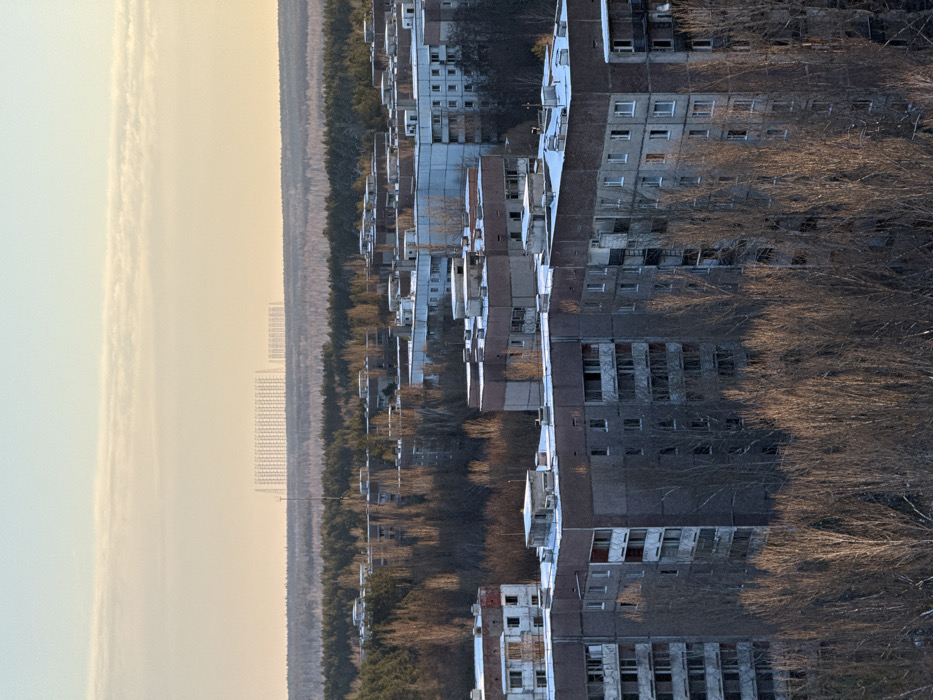 This elevated, panoramic view depicts the city of Prypiat, Ukraine. The foreground and midground feature numerous multi-story, pre-fabricated concrete residential buildings exhibiting advanced disrepair, including missing window panes and weathered exteriors. Patches of snow are visible on some rooftops. Bare deciduous trees, devoid of foliage, are interspersed throughout the urban landscape. A dense coniferous forest forms a prominent band across the mid-distance. On the distant horizon, beyond the forest, the distinctive, massive grid-like metallic structures of the Duga over-the-horizon radar array are clearly visible. The sky is pale and warm-toned, illuminated by low-angle sunlight, suggesting either sunrise or sunset. No individuals, vehicles, or active human interactions are present within the frame.