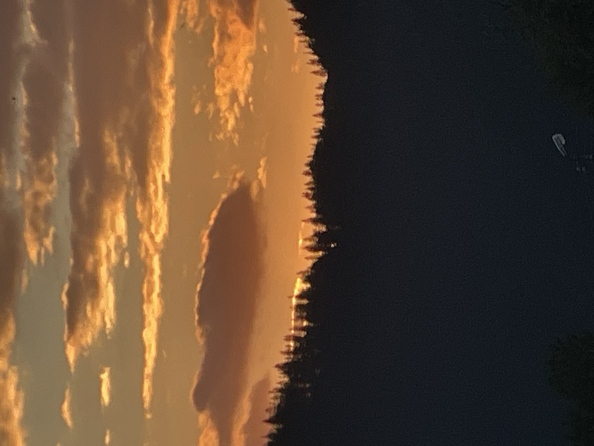 A picturesque sunset paints the sky with hues of orange and yellow, casting a warm glow over a silhouetted forest. The clouds, illuminated by the setting sun, drift across the vibrant sky, creating a dramatic and serene atmosphere. The dense forest, rendered in dark silhouette, forms a stark contrast against the colorful backdrop, emphasizing the natural beauty of the scene. The image captures a tranquil moment in the city of Manastir, Bulgaria, where the interplay of light and shadow creates a breathtaking natural spectacle.