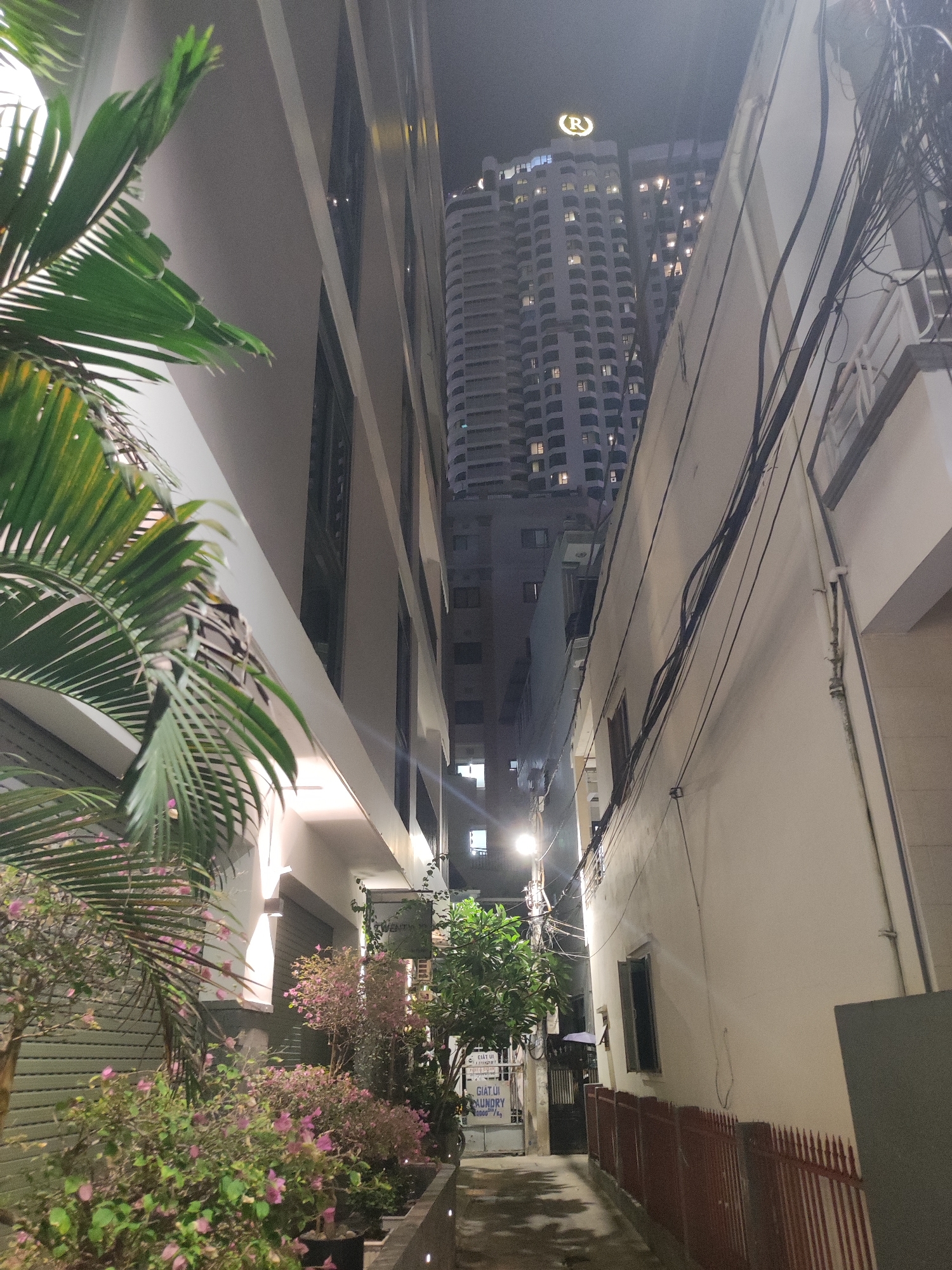 In Nha Trang Ward, Vietnam, an alleyway is depicted at night, flanked by buildings and dense with electrical wires. On the left, a modern, light-colored building with a white facade and dark windows dominates the scene, with a large palm tree in the foreground its fronds casting shadows. Further down the alley, a row of flowering bushes with pink blossoms adds color. To the right, a cream-colored building with a series of windows and a white balcony railing is visible. The alley floor appears wet, reflecting the light from a street lamp. In the background, a tall, lit skyscraper with a circular logo at its apex stands out against the dark sky. A red metal fence runs along the base of the right-hand building. A sign reading "GIAT UI LAUNDRY" is affixed to a post near a gate on the left side of the alley.