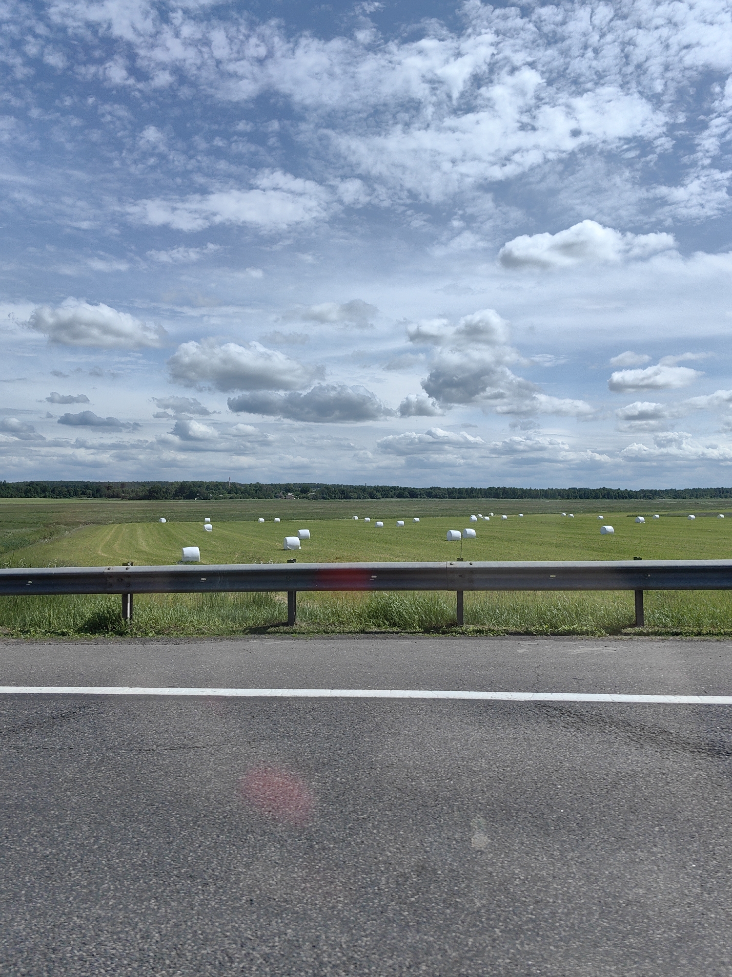 The image depicts a rural landscape observed from the side of an asphalt road in Barauski Selski Saviet, Belarus. The upper portion of the frame is dominated by a light blue sky with widespread, scattered white and grey cumulus clouds. Below the sky, a dark green forest line forms the distant horizon. A faint, slender, chimney-like structure is discernible above the treeline on the far right. The midground features a vast, light green agricultural field, showing patterns consistent with recent machinery use, possibly for haymaking. Approximately two dozen white, plastic-wrapped cylindrical bales, likely hay or silage, are distributed across this field. In the foreground, a metallic, galvanized guardrail with visible posts and bolts runs horizontally across the scene, separating the field from the immediate roadside. Green grass grows between the guardrail and the road. The bottom portion of the image shows a dark grey asphalt road with a single solid white line marking its edge, parallel to the guardrail. A diffused red light reflection or lens flare is visible on the asphalt in the bottom right and a fainter one on the guardrail. No people or animals are present.
