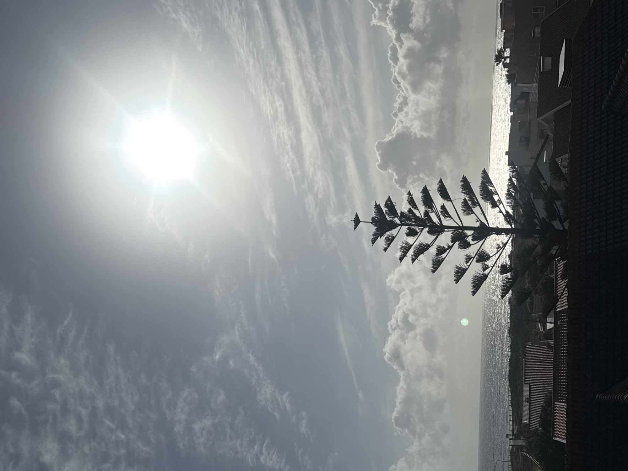 The image depicts a bright, sunlit sky with scattered clouds over the ocean, seemingly taken from Vila Nova de Gaia, Portugal. The sun is a prominent feature, located high in the sky, with the ocean reflecting its light. A silhouetted pine tree is visible in the foreground, with houses partially visible on the right side of the frame. The water is relatively calm, with a visible horizon.