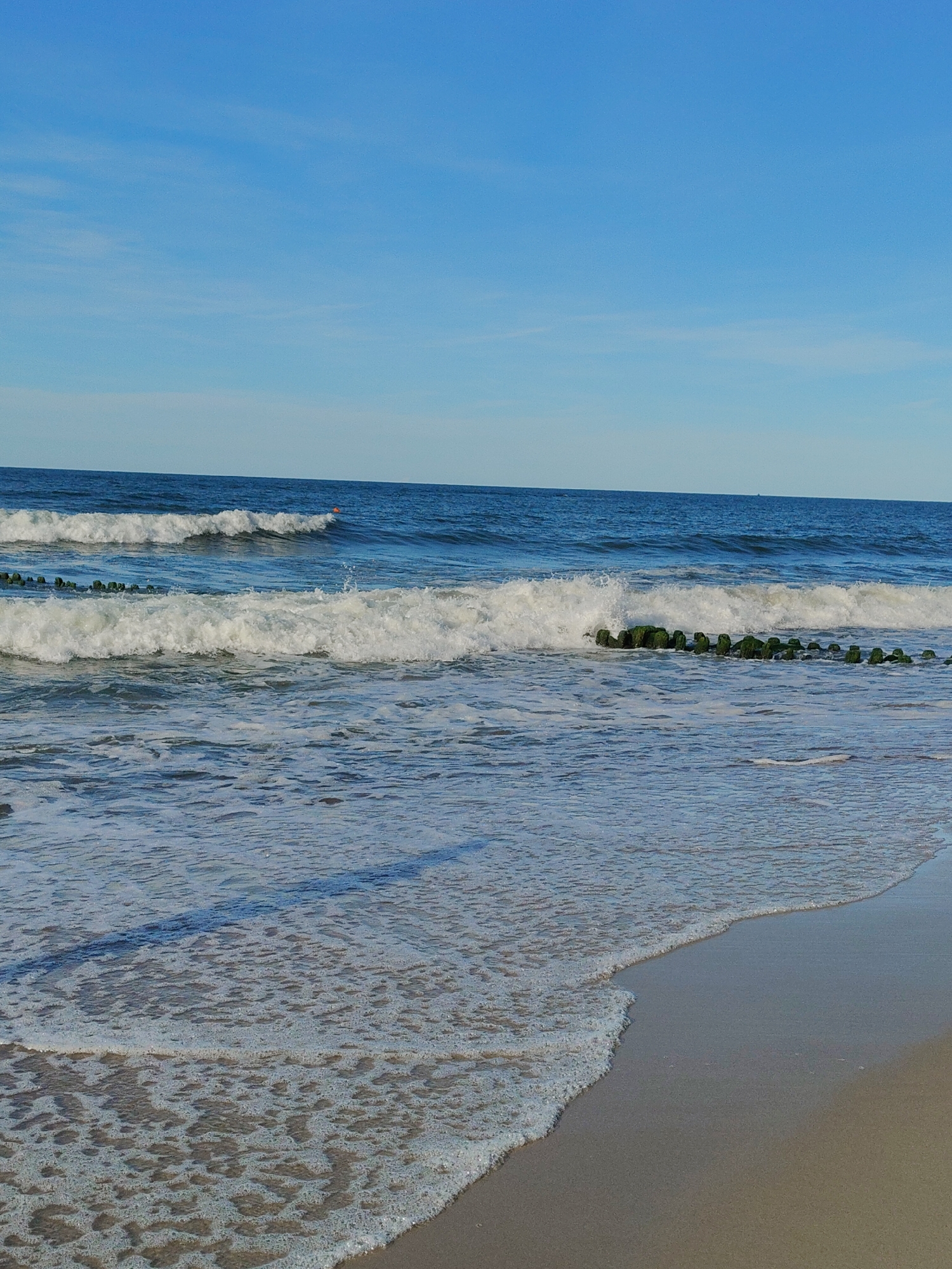 The image shows a serene beach scene with clear blue skies and a calm ocean. The waves are gently breaking on the shore, creating a foamy white froth. In the distance, a line of wooden groynes, partially submerged and covered in green algae, breaks the uniformity of the water. The sand on the beach is a light, neutral color. The scene is devoid of any people or artificial structures other than the groynes, suggesting a natural and peaceful environment. The location is likely the coast of Pionersky, Russia, given the typical appearance of its beaches with such groynes.
