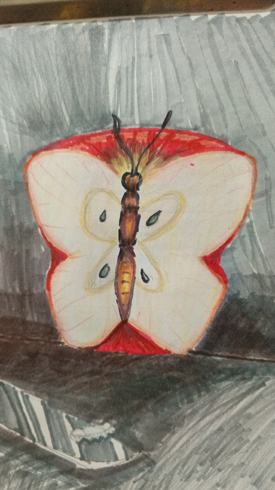 The image is a watercolor painting of an apple cut into the shape of a butterfly. The "wings" are formed by two apple halves, with the skin as the outer edge. The butterfly's body is painted with brown and yellow hues, and antennae extend from its head. The apple core shapes form decorative markings on the wings. The artwork appears to be placed on a wooden surface, with a gray and white background. The city of Tinaquillo, Venezuela is not evident in the image.