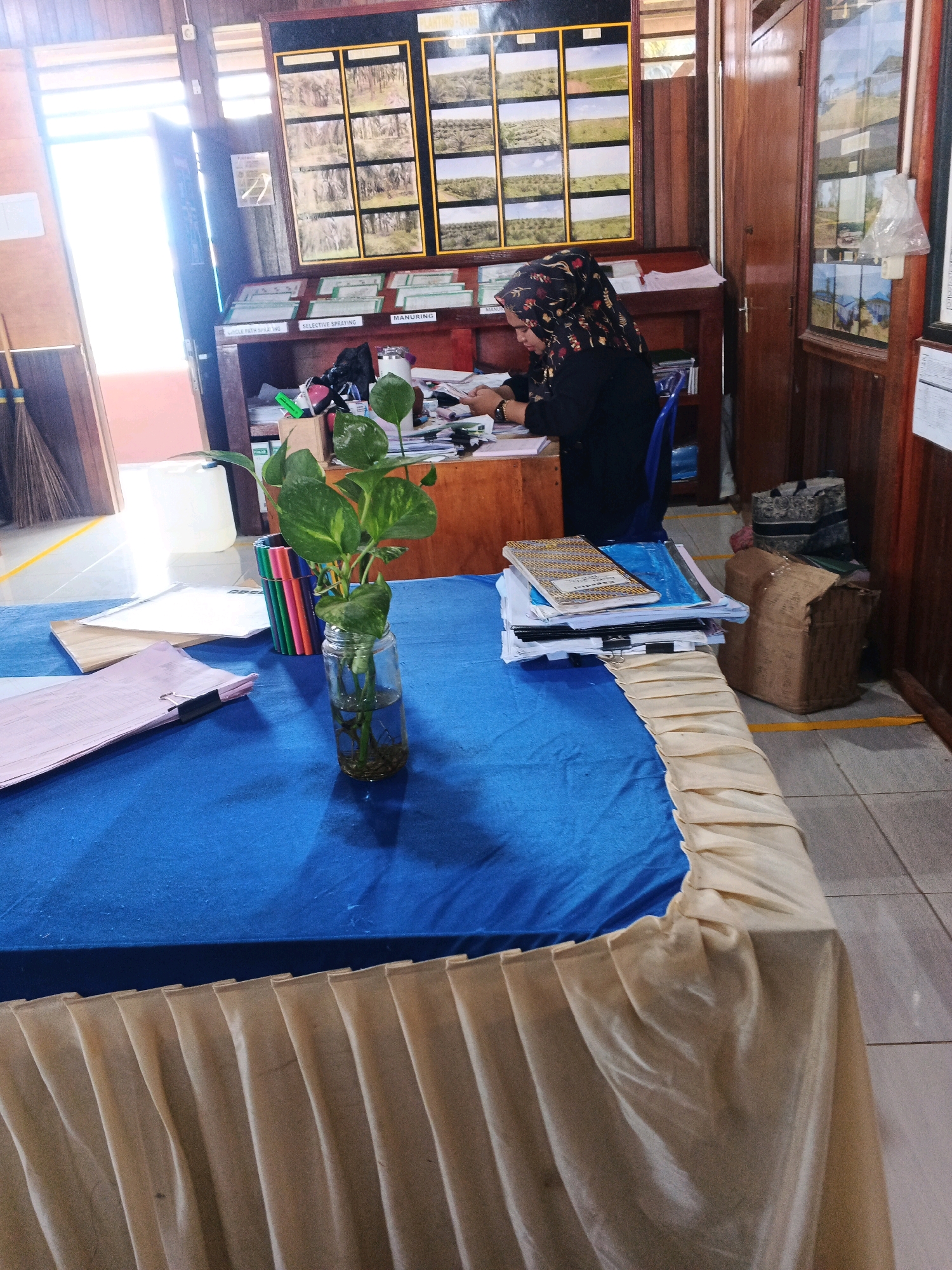 In Batu Ejung, Indonesia, a woman wearing a hijab and a black top sits at a wooden desk in an office setting. She is looking down at papers on the desk and appears to be working. The room has wood-paneled walls and a large window on the left, through which sunlight streams in. A bulletin board displaying images is mounted on the wall above the desk. In the foreground, a blue tablecloth covers a table, on which sits a glass jar containing a plant with green leaves and roots. Several markers are placed upright in the jar. A stack of papers and books is also visible on the table. In the background, brooms are leaning against the wall, and boxes are stacked near a wooden cabinet. The floor is tiled.