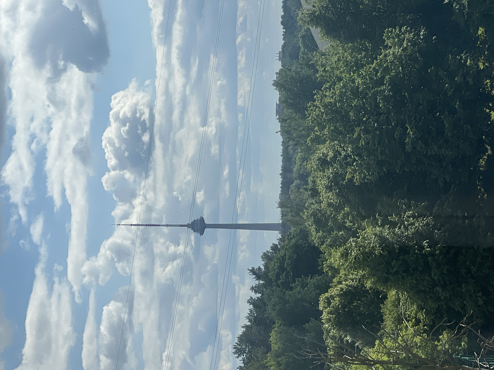 The image is a vertical landscape shot of a telecommunications tower against a bright, cloudy sky. The tower, a tall, slender structure with a distinct platform near its apex, stands in the mid-ground, partially obscured by a dense line of lush green trees that dominate the right side of the frame. The trees appear to be deciduous, with full foliage. Several power lines are visible crisscrossing the frame, intersecting the sky and the tower. The sky is filled with a mix of fluffy white cumulus clouds and longer, streaky cirrus clouds, set against a clear blue sky. The lighting suggests it is daytime, likely late morning or early afternoon, with the sun casting bright light on the clouds and illuminating the scene. There are no people visible, and no discernible text. The overall impression is a somewhat urban or semi-rural setting, given the presence of the tower and power lines amidst natural greenery.