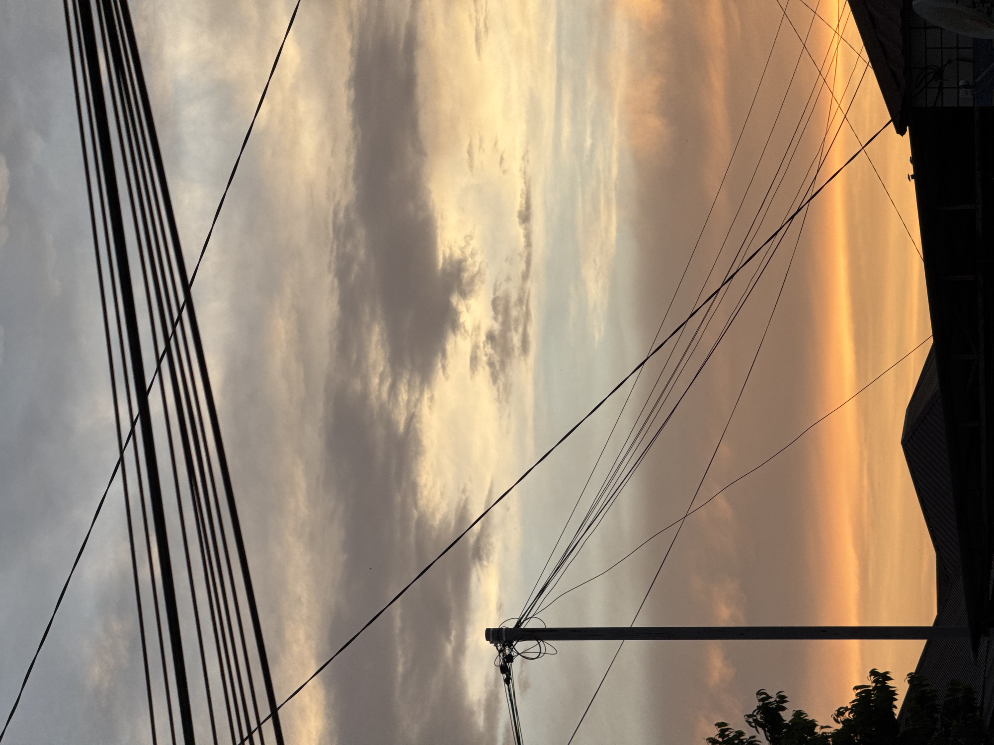 The image depicts a silhouetted view of rooftops and a utility pole against a twilight sky. A cluster of electrical wires crisscrosses the frame, some running parallel and others at sharp angles. The sky displays a gradient of colors, transitioning from a pale yellow and orange near the horizon to grayer hues at the top, with scattered clouds. A small tree is visible on the left edge, also silhouetted. The scene is devoid of any visible people or specific landmarks that would indicate the location of Mikhaylovsk, Russia. The overall impression is of an urban or semi-urban environment at dusk.