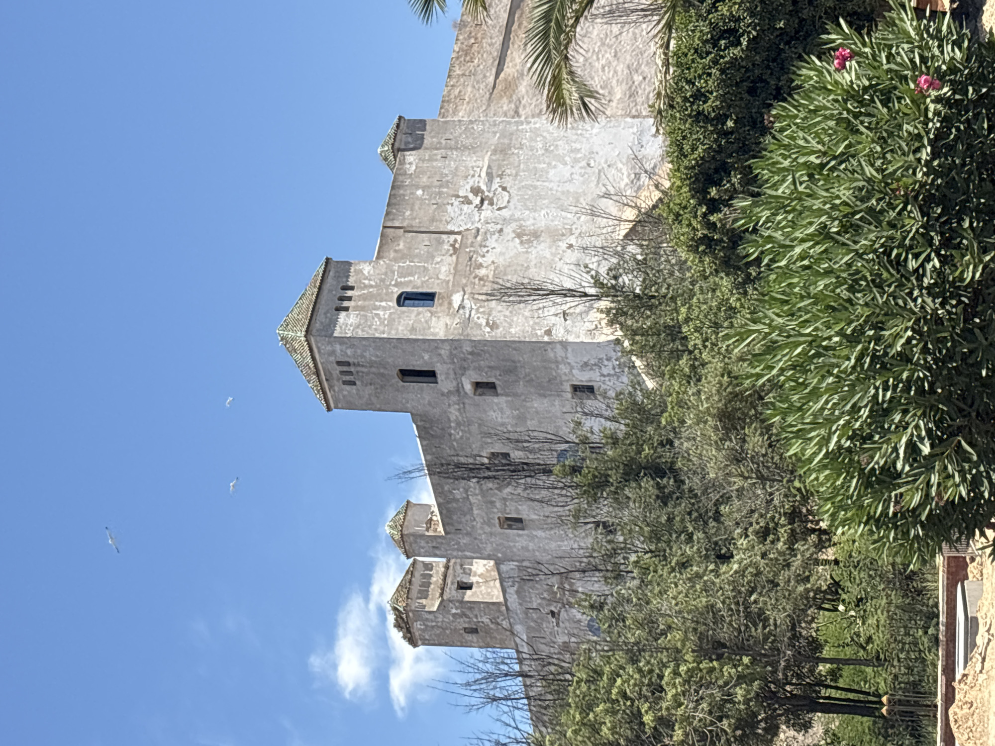 The image depicts a weathered, light-colored fortress or castle-like structure under a bright blue sky with scattered white clouds. The fortress has multiple towers, some with green tiled roofs. The walls are textured and show signs of age and wear. In the foreground, lush green trees and bushes are visible, with some bare branches from dead trees interspersed among them. The foliage is dense and appears to be in a natural or semi-wild state. The overall scene suggests a historical site set against a natural landscape. Three seagulls are flying in the sky above the fortress.