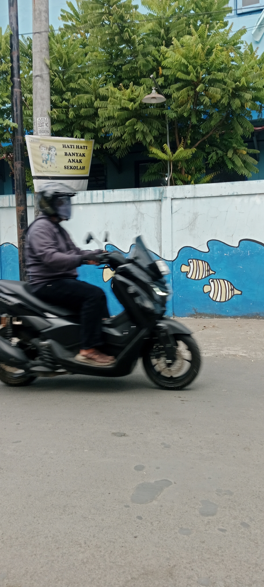 A motion-blurred, medium-angle shot shows a person riding a black scooter on a paved road. The scooter rider, wearing a grey long-sleeved shirt, black pants, and a black helmet with a clear visor, is positioned in the center of the frame and is moving from left to right. The background features a light blue wall with a mural of stylized fish. To the left of the wall is a grey pole with a banner attached to it. The banner, yellow with red and black text and images of children, reads "HATI HATI BANYAK ANAK SEKOLAH" and "TK SD KANISIUS KADIROJO". Lush green trees with dense foliage are visible above the wall, with a light fixture hanging from one of the branches. The setting appears to be a street in Purwomartani, Indonesia, likely near a school due to the banner's message. The overall lighting suggests an overcast day.