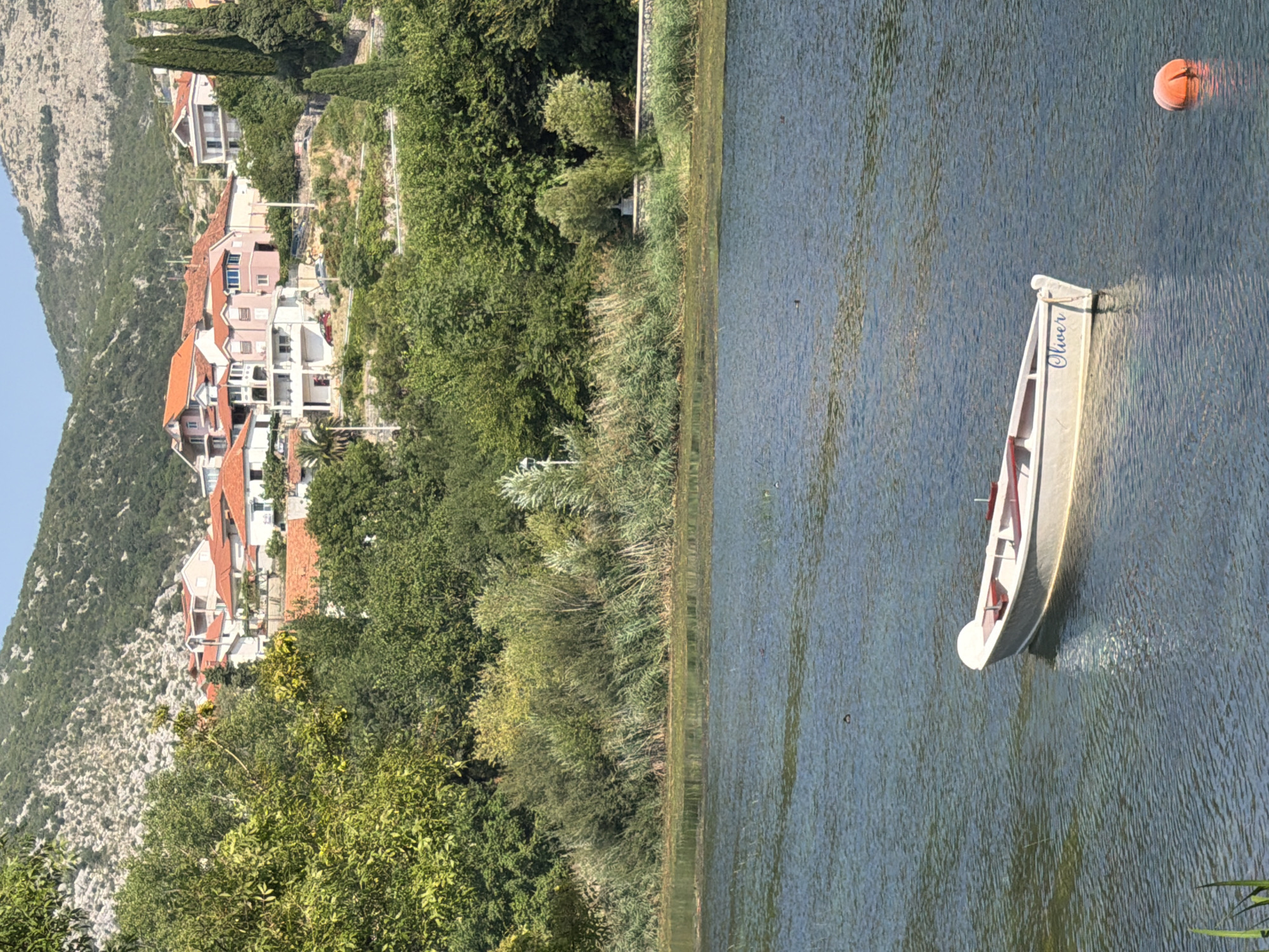 The image captures a serene waterscape in Trebinje, Bosnia and Herzegovina, likely depicting the Trebišnjica River or a similar body of water. In the foreground, a small, white rowboat named "Oliver" floats gently on the rippling surface of the water. A bright orange buoy is visible to the right of the boat. The midground features a dense line of reeds and lush green trees that form a natural embankment. Beyond the trees, a hillside town unfolds, characterized by white and terracotta-roofed buildings nestled amongst the verdant slopes. The architecture suggests a Mediterranean influence. The background is dominated by a rugged, rocky mountain, sparsely covered with vegetation, under a clear blue sky. The scene is bathed in bright sunlight, indicating a daytime setting, likely during the warmer months. No people are visible in the image.