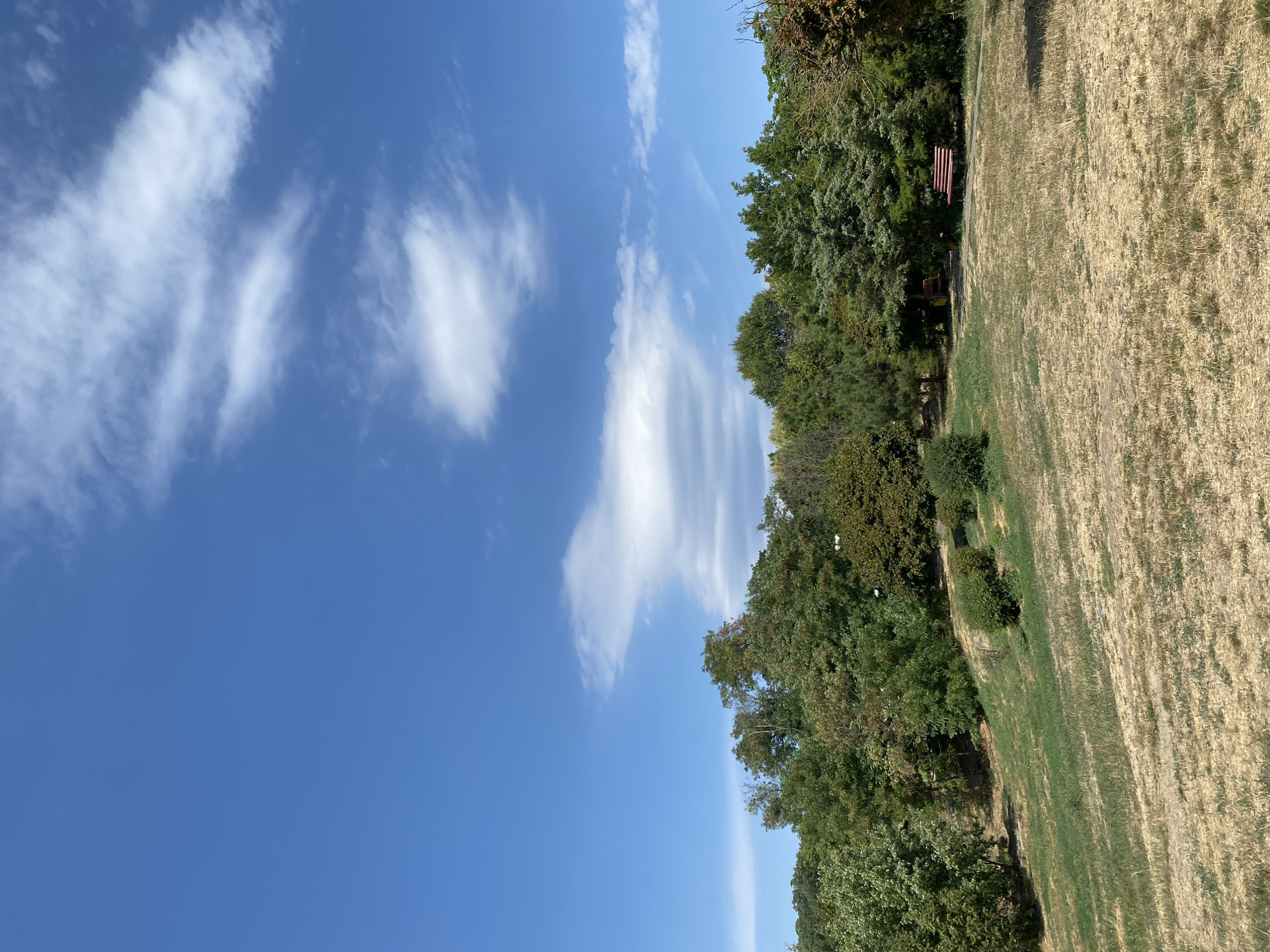 The image depicts a park scene in the city of Chornomorsk, Ukraine. The sky above is a clear blue with scattered white, wispy clouds. In the foreground, a dry, golden-brown grassy field slopes upwards. A paved path winds through the field. In the middle ground, a cluster of lush green trees forms a dense line across the horizon. A red park bench is visible on the right side of the path, partially obscured by trees. Another red bench is visible further back, between two trees. The overall impression is a sunny day in a well-maintained public park.