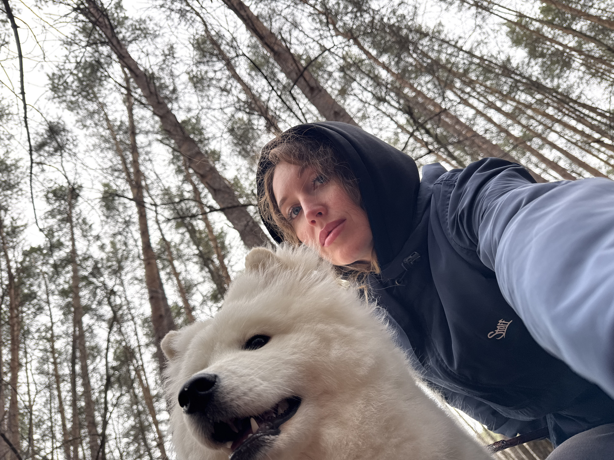 This low-angle, upward-looking image features a woman and a white Samoyed dog in a forest setting. The woman, positioned on the right, is partially visible, wearing a dark hooded jacket. Her face is seen from the nose up, with light brown hair framing it, and her eyes gaze directly towards the camera.
Prominently in the foreground and center-left is a large, fluffy white Samoyed dog. It has dark eyes and a black nose, with its mouth slightly open, revealing its teeth, suggesting an alert or happy disposition. The dog's bright white fur contrasts with the darker elements of the woman's attire.
The background is filled with the upward-stretching trunks and branches of numerous tall, slender trees, likely conifers, set against a bright, overcast sky. The dense vertical lines of the trees create a sense of depth and height, typical of a forest environment. The lighting is soft and diffused, indicating an overcast day.
The image captures a moment during an outdoor activity, such as a walk or hike in the woods. The woman's hooded jacket suggests cool weather. A stylized, light-colored text reading "Stuff" is visible on the left sleeve of her dark jacket. The serene forest environment is consistent with locations such as Chaikovsky, Russia.