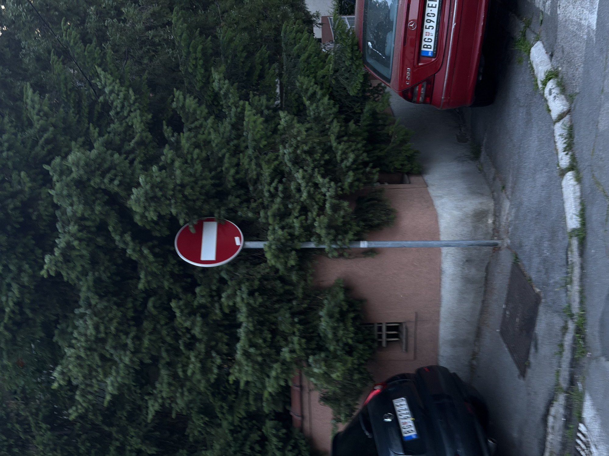 The image depicts a street scene in the city of Palilula Urban Municipality, Serbia. A "Do Not Enter" traffic sign is visible, partially obscured by dense green foliage. Two parked cars are present. One car, red in color, has a license plate "BG 590-EI" and the other car is black and the license plate is "BG 622-FU". The street surface is grey concrete, with a visible manhole cover and a narrow sidewalk with patches of vegetation. A building with a window is located behind the traffic sign.