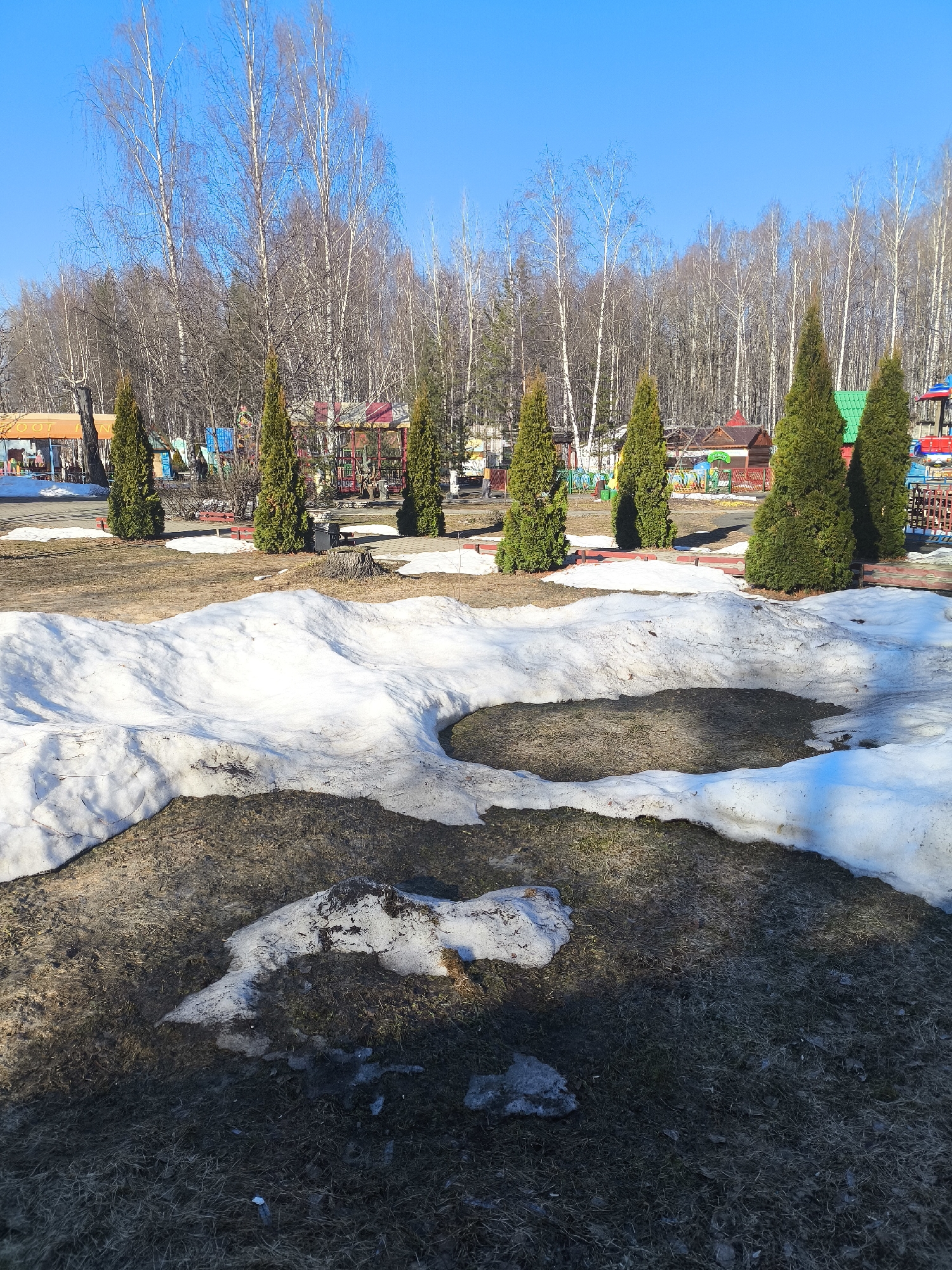 The image depicts a thawed patch of ground in what appears to be a park or recreational area in Chaikovsky, Russia. Patches of snow remain on the ground, indicating early spring conditions. A row of coniferous trees is planted in the background, with deciduous trees beyond them lacking leaves. Several colorful structures that appear to be part of a playground or amusement park are visible in the far background. The sky is clear and blue. There are no people visible in the frame.