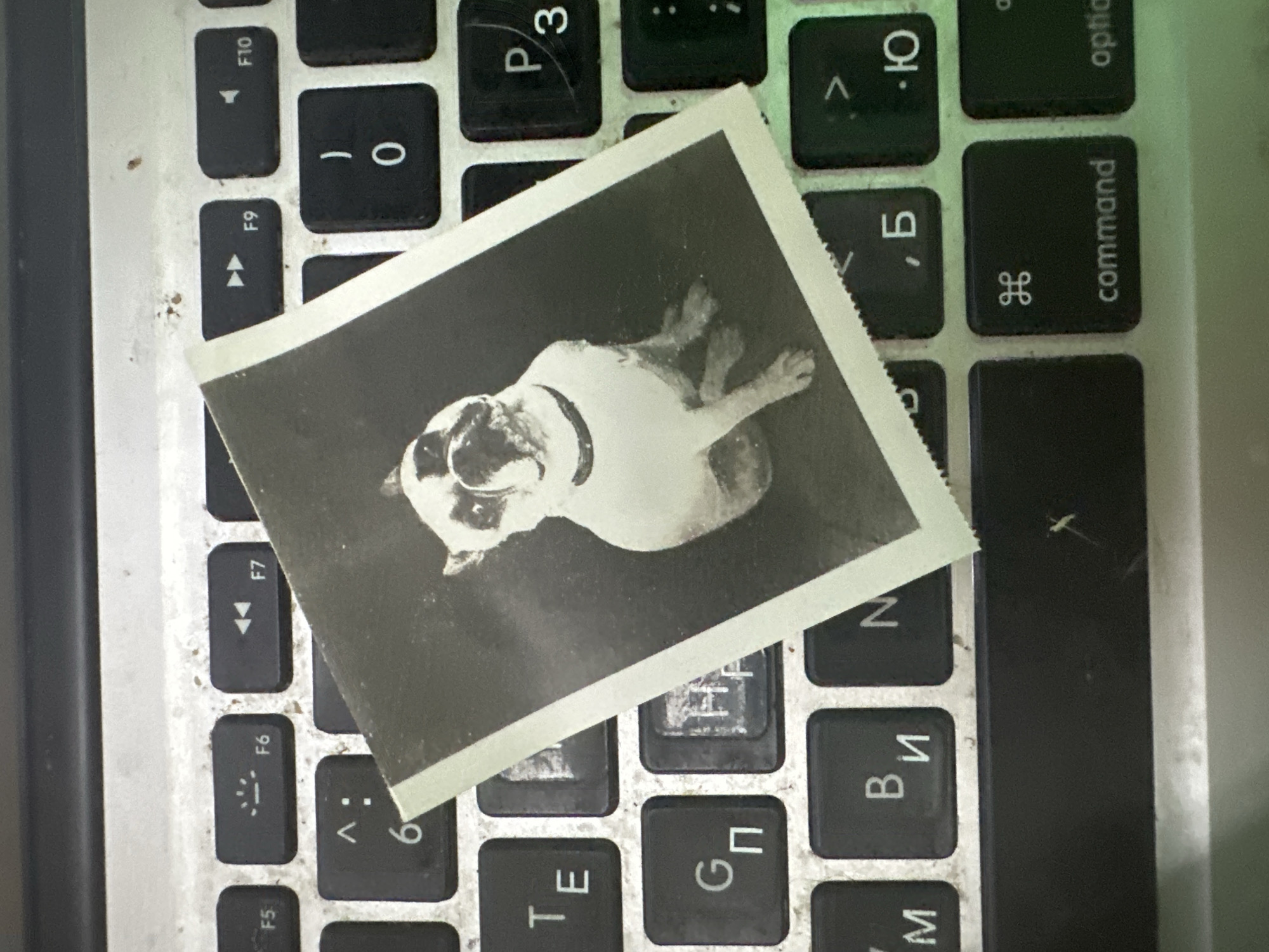A black and white photograph of a French Bulldog is placed on a laptop keyboard. The dog is sitting and looking at the camera, with its mouth slightly open. The keyboard is silver and black, and some of the keys are visible, including letters and function keys. The photograph is positioned diagonally across the keyboard. The environment appears to be indoors, with artificial lighting. There is no indication of the location being Moscow, Russia.