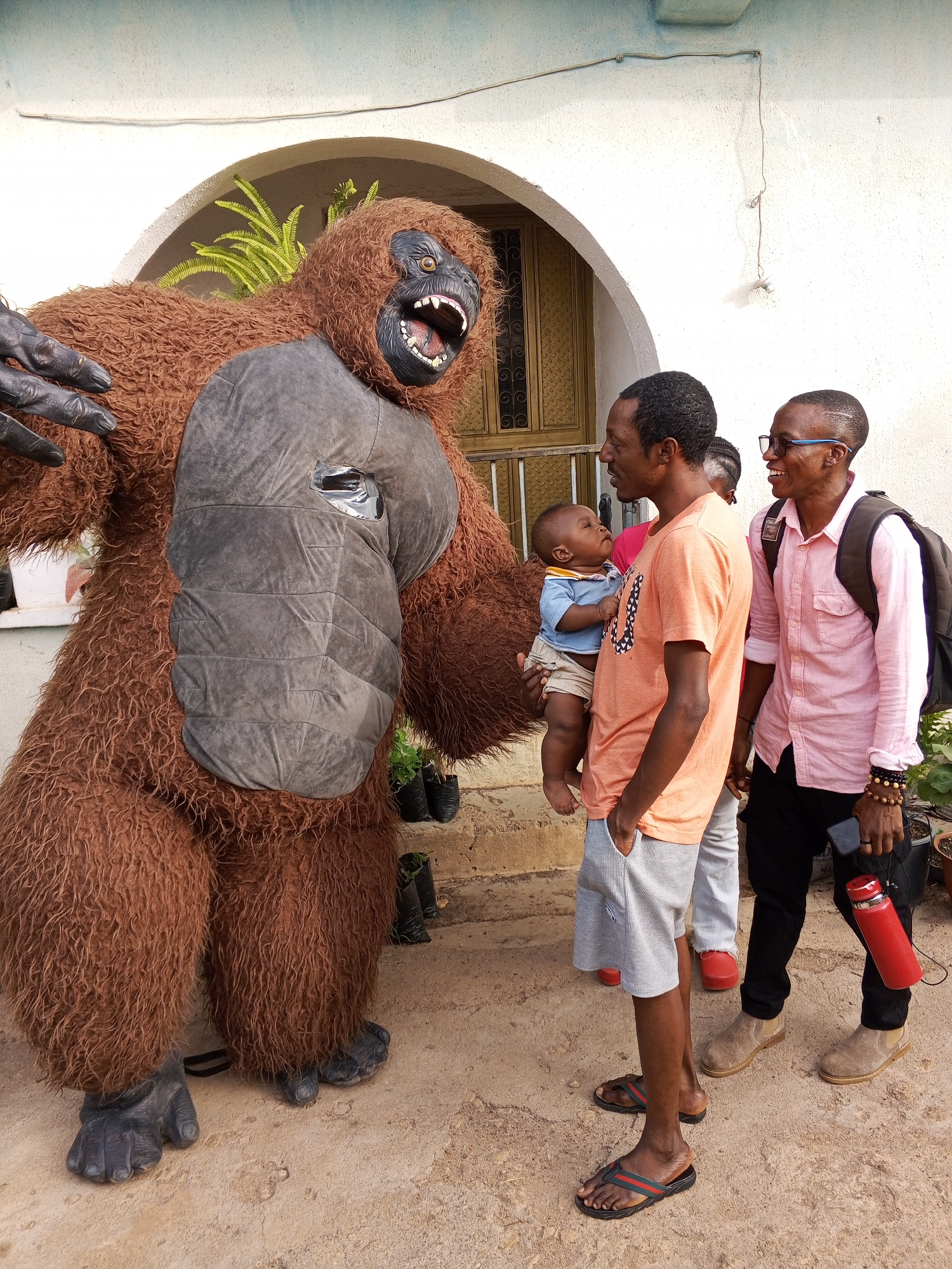 In an outdoor scene in Jos, Nigeria, a large, shaggy brown gorilla costume dominates the left side of the frame, engaging with a group of people. The impressive costume features realistic black hands and feet, a fierce, open-mouthed face with visible teeth, and padded grey sections on its chest and arms.
To the right, a man in an orange t-shirt and grey shorts holds a baby. The baby, dressed in a light blue top and light shorts, looks intently at the gorilla costume with curiosity. The man holding the baby has a slight smile. Beside him, another man in a pink long-sleeved shirt, black pants, and glasses is captured in mid-laugh, carrying a backpack and a red water bottle. Partially visible behind the man with the baby are other individuals.
The background shows a light-colored building with an arched entryway, revealing a dark door and some green foliage. Potted plants and small plants in black bags are arranged near the building's foundation. The ground is a light, dusty brown. The scene is brightly lit by natural daylight, indicating clear weather. The overall atmosphere suggests a playful or public event, with expressions of curiosity, amusement, and laughter on the faces of the onlookers. No discernible text is visible in the image.