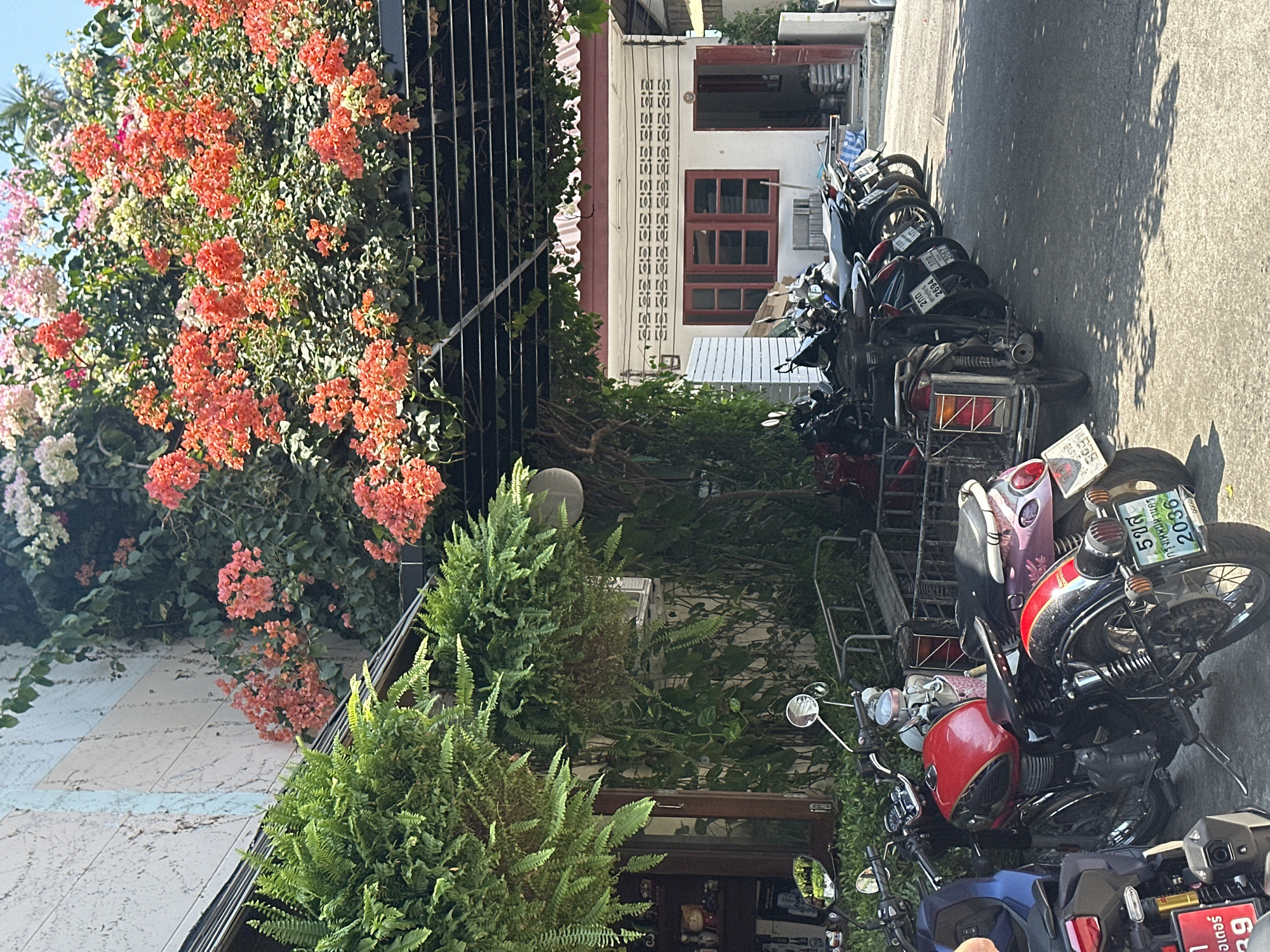 The image shows a narrow street in Baan Chaweng Noi, Thailand, with a row of parked motorbikes lining the right side of the frame. On the left, a building with a partially visible storefront is adorned with lush greenery, including ferns and bougainvillea flowers. The bougainvillea displays a mix of orange, pink, and white blossoms. A black metal railing runs along the upper portion of the building's exterior. In the background, a two-story building with white walls and dark red window frames is visible. The street appears to be paved, with shadows cast by trees or buildings. The motorbikes are parked close together, suggesting limited space. The lighting indicates a sunny day.