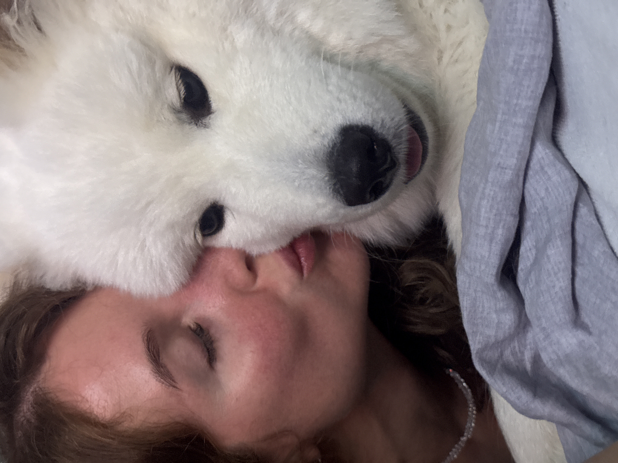 A close-up image depicts a female individual kissing a white, fluffy dog. The woman is positioned on the left, with her left profile visible. Her eyes are closed, and her lips are pursed, making contact with the dog's snout. She has reddish-brown hair, and a light-colored, reflective necklace is visible around her lower neck/shoulder area. The dog, consistent with a Samoyed breed, occupies the right side of the frame, displaying dense white fur, dark eyes, a prominent black nose, and a slight protrusion of a pink tongue. Both subjects are resting on or against a light gray, textured fabric, likely a blanket or bedding, which covers the lower portion of the image. A lighter, possibly off-white, fuzzy surface is partially visible beneath the gray fabric on the right. The image provides no visual indicators to confirm a location in the city of Chaikovsky, Russia.