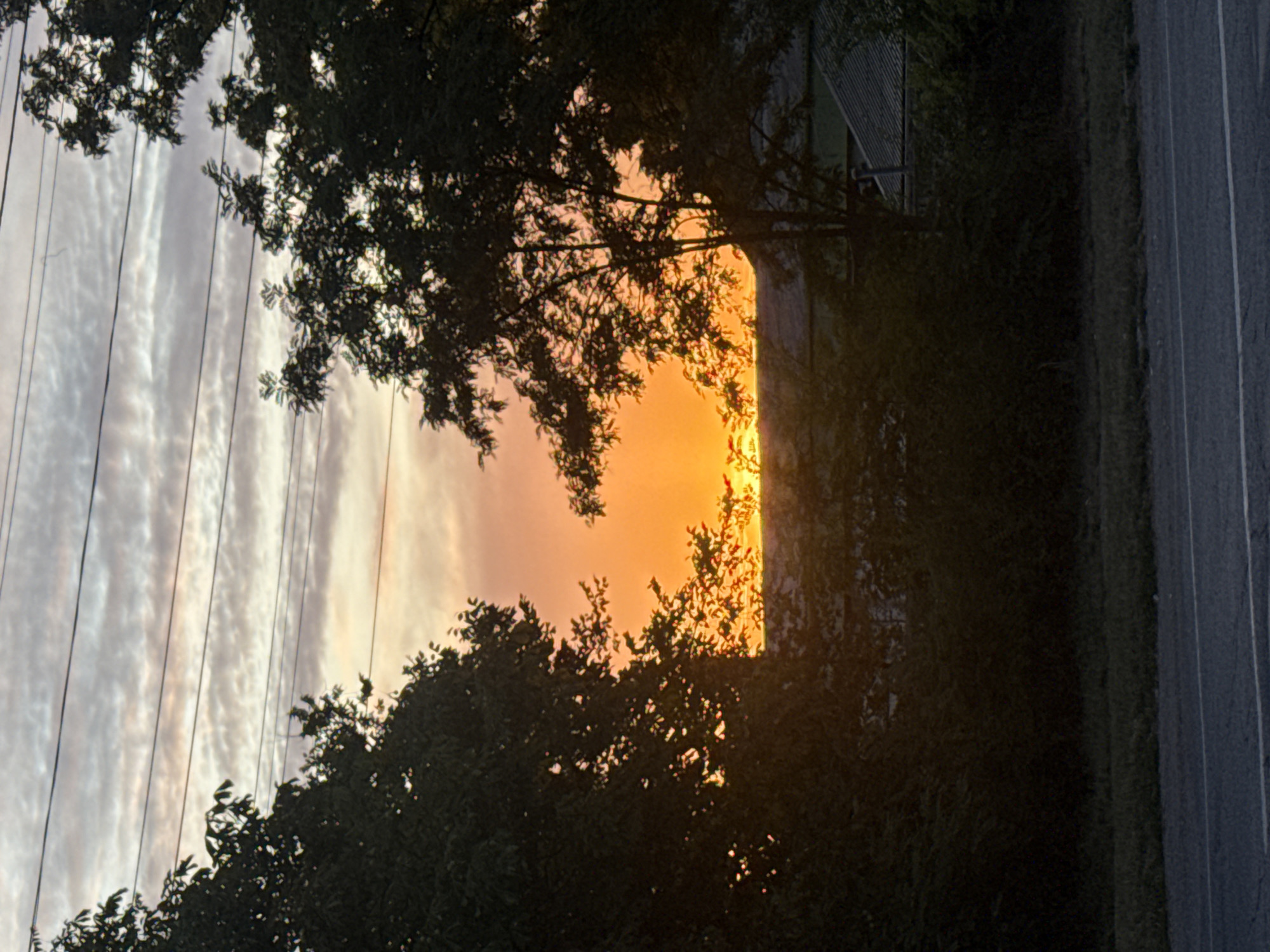 This image depicts a sunset viewed through a gap in trees on a street in Ialoveni, Moldova. The sky is a vibrant orange and yellow, with some wispy clouds. Several power lines are visible across the top of the frame. Silhouetted trees frame the sunset, with a dark, leafy canopy on either side. In the foreground, a paved road with white lines is visible, bordering a grassy area. In the background, the outlines of houses and other vegetation are dimly visible, suggesting a residential or semi-rural area. No people are present in the image.