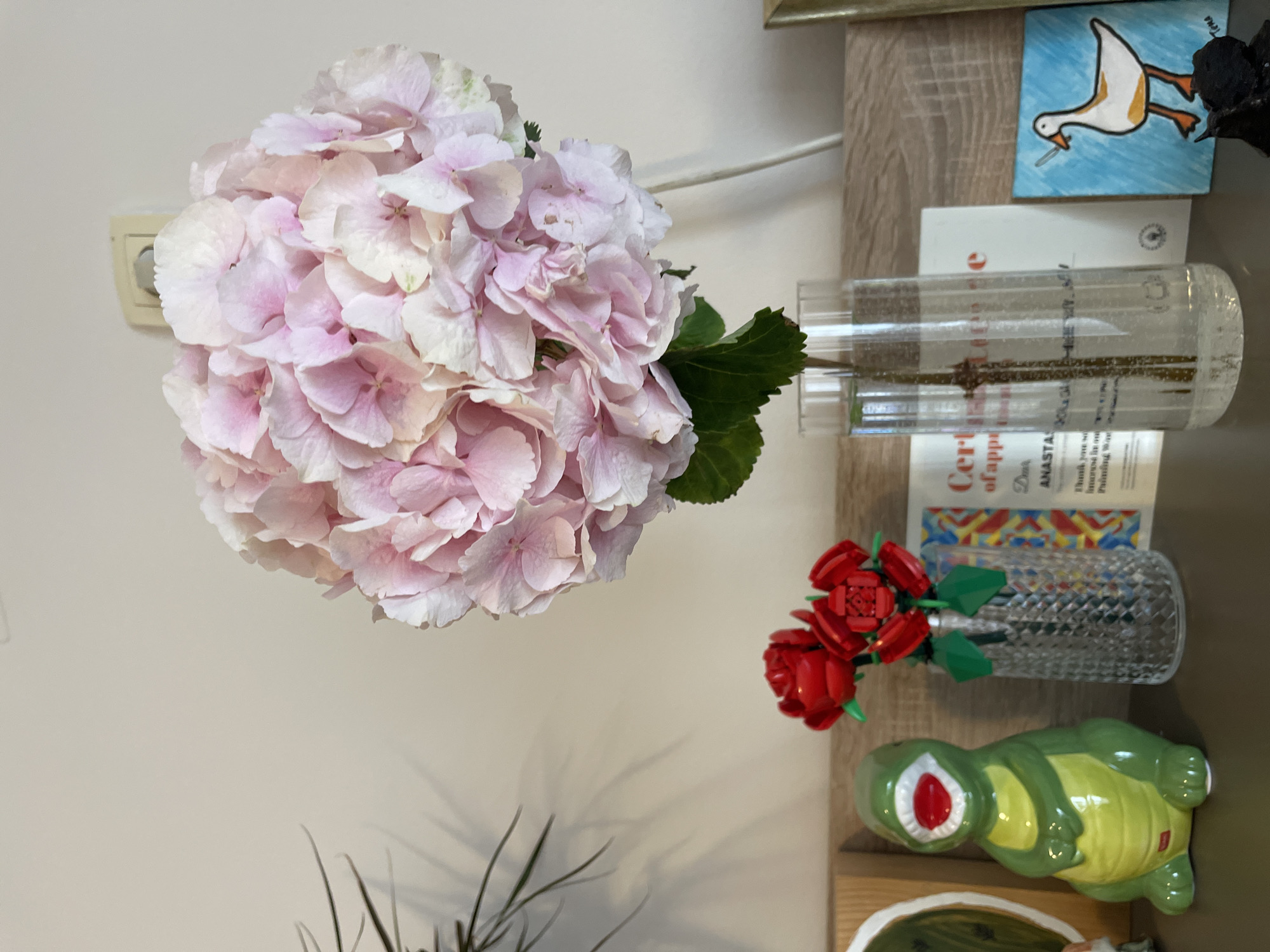 A close-up, slightly tilted view shows a light pink hydrangea in a cylindrical glass vase with a stem visible inside. The vase sits on a light brown surface next to a second smaller vase containing red LEGO roses. Adjacent to the LEGO roses is a green and yellow ceramic dinosaur figurine. Above these items are printed materials, including a painting of a goose, suggesting they are arranged on a shelf or table against a light beige wall. An electrical outlet is visible behind the hydrangea. The location in the city of Budva, Montenegro, cannot be ascertained from the image alone.