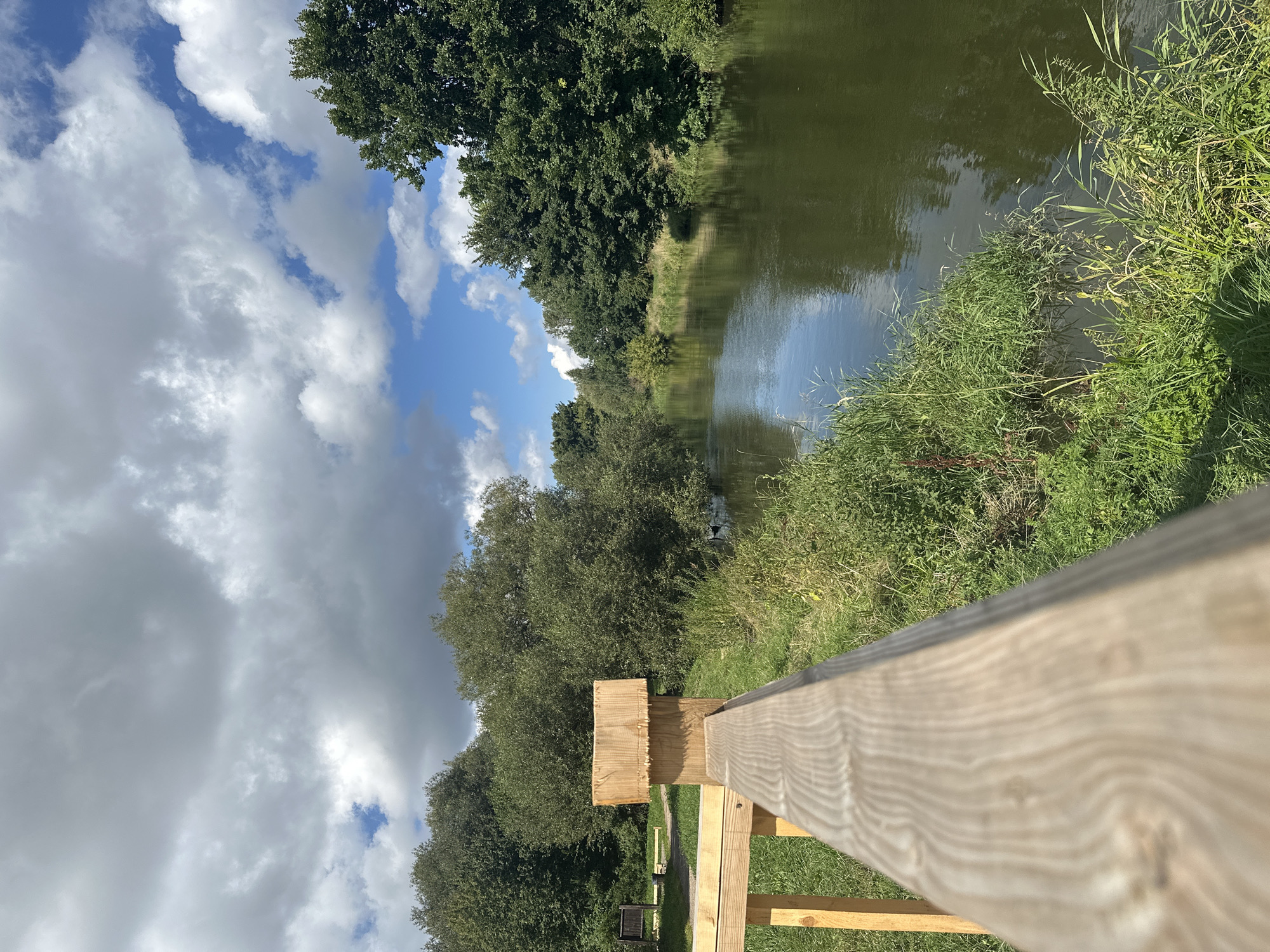 The image depicts a tranquil scene of a river flowing through a park or natural area. In the foreground, a wooden railing made of light-colored planks is prominently featured, with its grain clearly visible. Beyond the railing, a small wooden structure, possibly a viewing platform or shelter, is situated to the left. The river itself, with its calm, dark water reflecting the sky, winds its way into the distance. The banks of the river are densely covered with lush green grass and reeds, interspersed with trees. The background is dominated by a dense line of trees, their green foliage creating a natural backdrop. The sky above is a mix of blue sky and white, fluffy clouds, suggesting a pleasant, possibly overcast, day. The overall atmosphere is serene and natural. This location is the Svislach River in Minsk, Belarus, specifically in the area near the observation deck in Loshitsa Park.