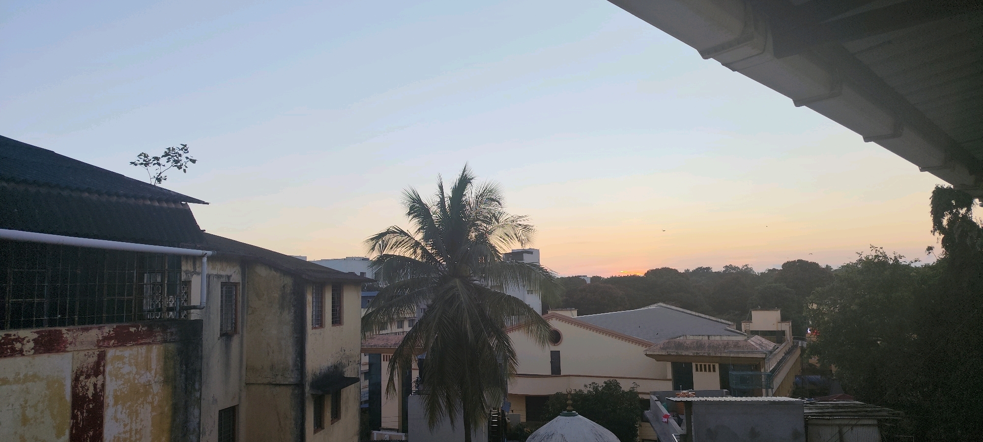 The image depicts a cityscape of Belagavi, India, during either sunrise or sunset. In the foreground, on the left, is a portion of an old, weathered building with a corrugated roof and barred windows. A small tree is growing on the edge of this roof. To the right of this building, a tall palm tree stands prominently, its fronds casting shadows.
Behind these foreground elements, several other buildings are visible, varying in architectural style and height. Some appear to be residential or office buildings, while others have more industrial or commercial characteristics, such as the building with a prominent triangular roof in the middle ground. The background is dominated by a dense canopy of trees, suggesting a green belt or parkland within or on the outskirts of the city.
The sky is a pale blue, transitioning into hues of orange and yellow near the horizon, indicating the time of day. A few small birds or distant aircraft are faintly visible in the sky. The overall impression is one of a typical urban environment in India, with a blend of older structures, newer constructions, and abundant natural elements.