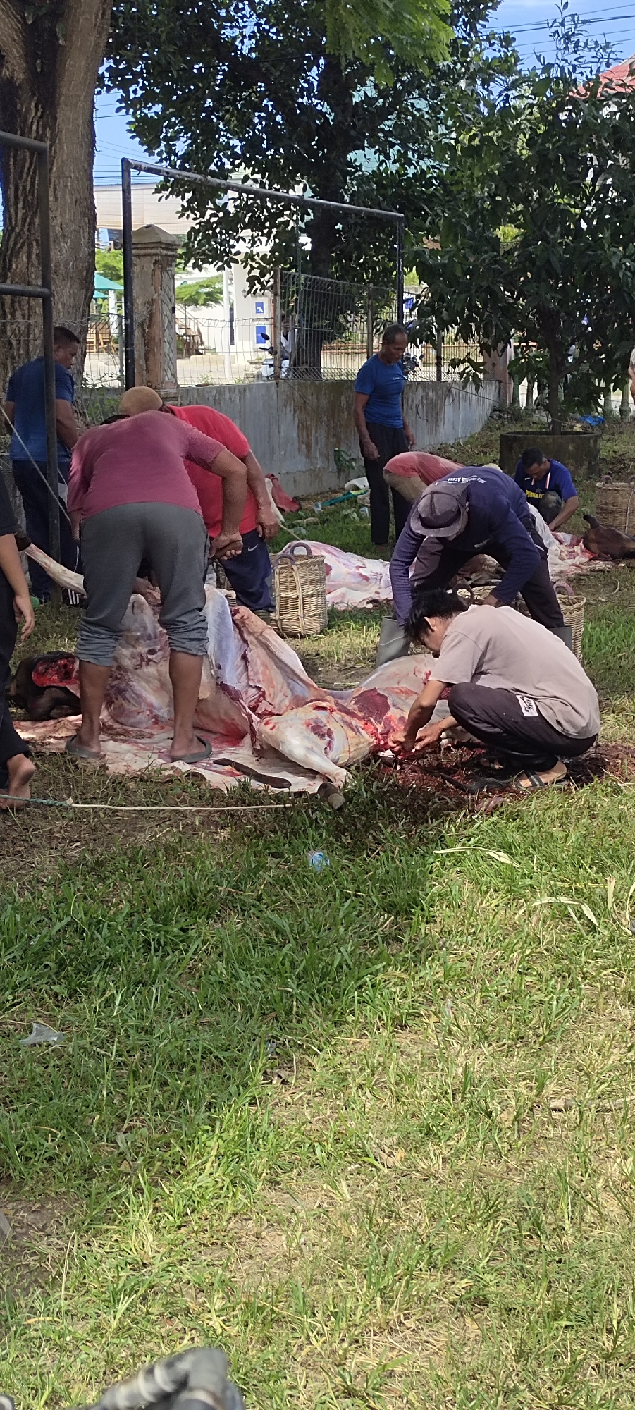 The image depicts a group of people butchering a large animal carcass in an outdoor setting. Several individuals are actively engaged in cutting and processing the meat, while others stand nearby observing or assisting. The carcass lies on a white sheet or tarp spread on the grass. The setting appears to be a grassy area with trees in the background, possibly in a residential or public space. A fence and building are visible in the distance. Based on the prompt's location, this scene is occurring in Lhokseumawe, Indonesia.