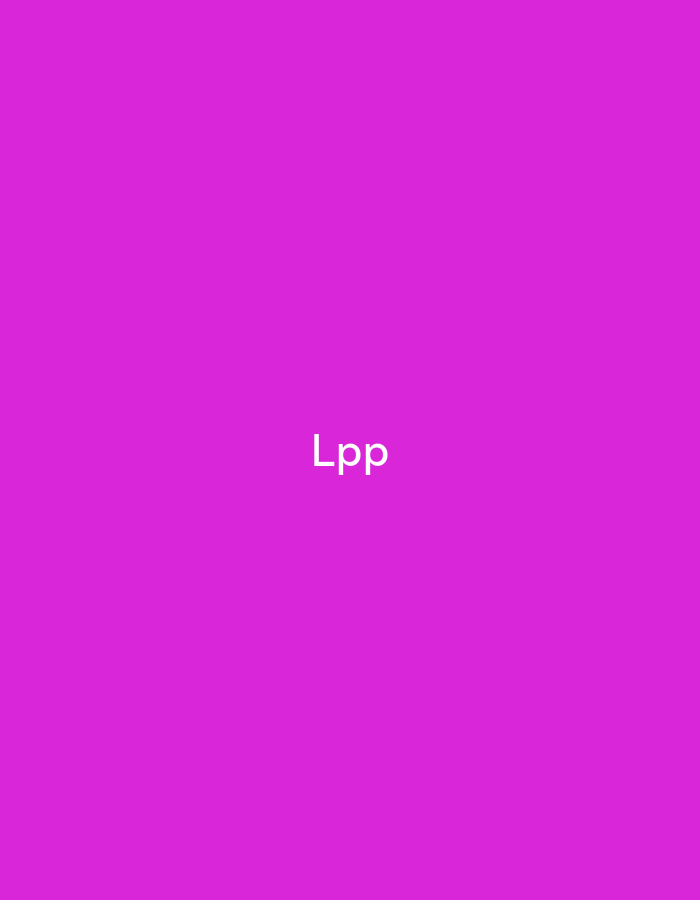 This image features a solid magenta background with the white uppercase text "Lpp" centrally positioned. There are no additional subjects, objects, or environmental elements visible within the image itself. The image is located in the city of Pokrovnik, Bulgaria.