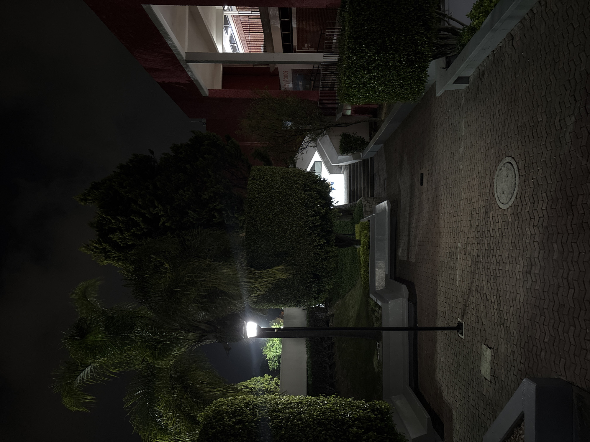 The image is an outdoor night shot in San Andrés Cholula, Mexico, likely within a campus or institutional setting. The scene is vertically oriented. At the top, a multi-story building with visible architectural details, including windows and walkways, is partially illuminated. A dense collection of bushes and trees lines the right side of the frame, bordering a brick-paved walkway. A lamppost with a lit lamp stands in the middle of the frame, amidst the trees. The left side of the image is dominated by a dark sky and the silhouette of a large tree. The overall lighting is dim, but the lamppost and building provide some illumination, creating strong contrasts between light and shadow. The walkway is visible as a main feature with a circular manhole cover present.